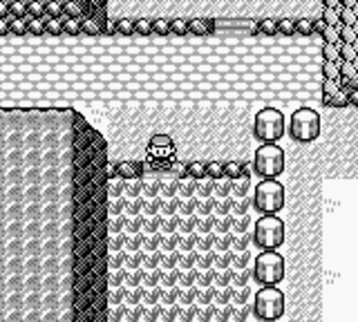 Pokémon Blue Version screenshot 3