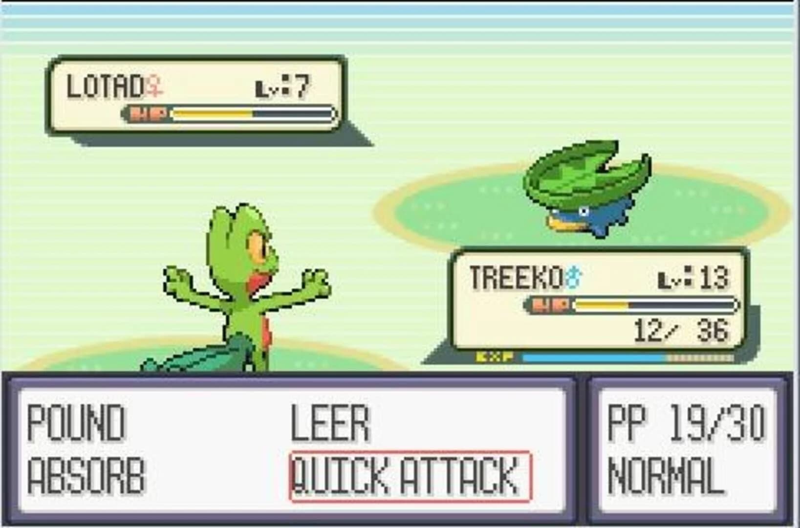 Pokémon Ruby Version screenshot 2