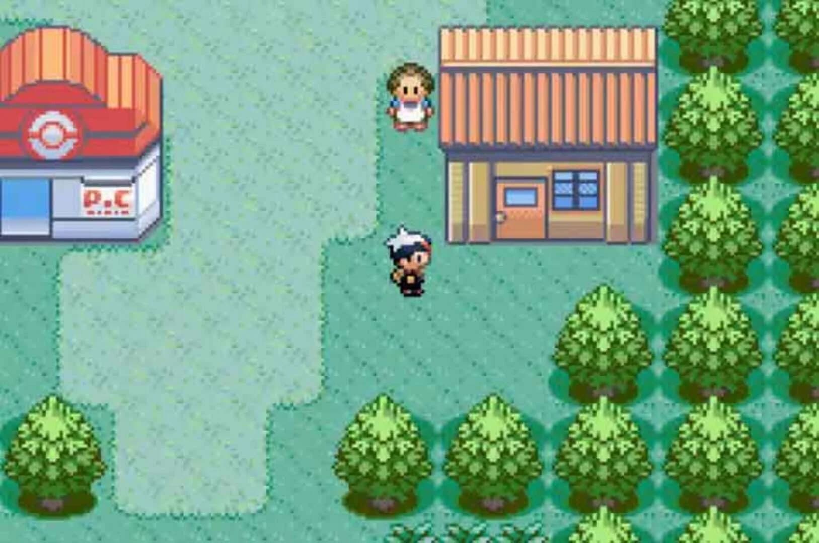Pokémon Ruby Version screenshot 1