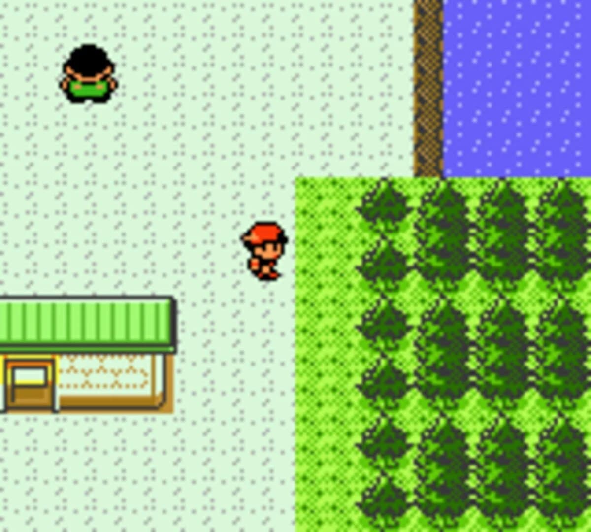 Pokémon Silver Version screenshot 2