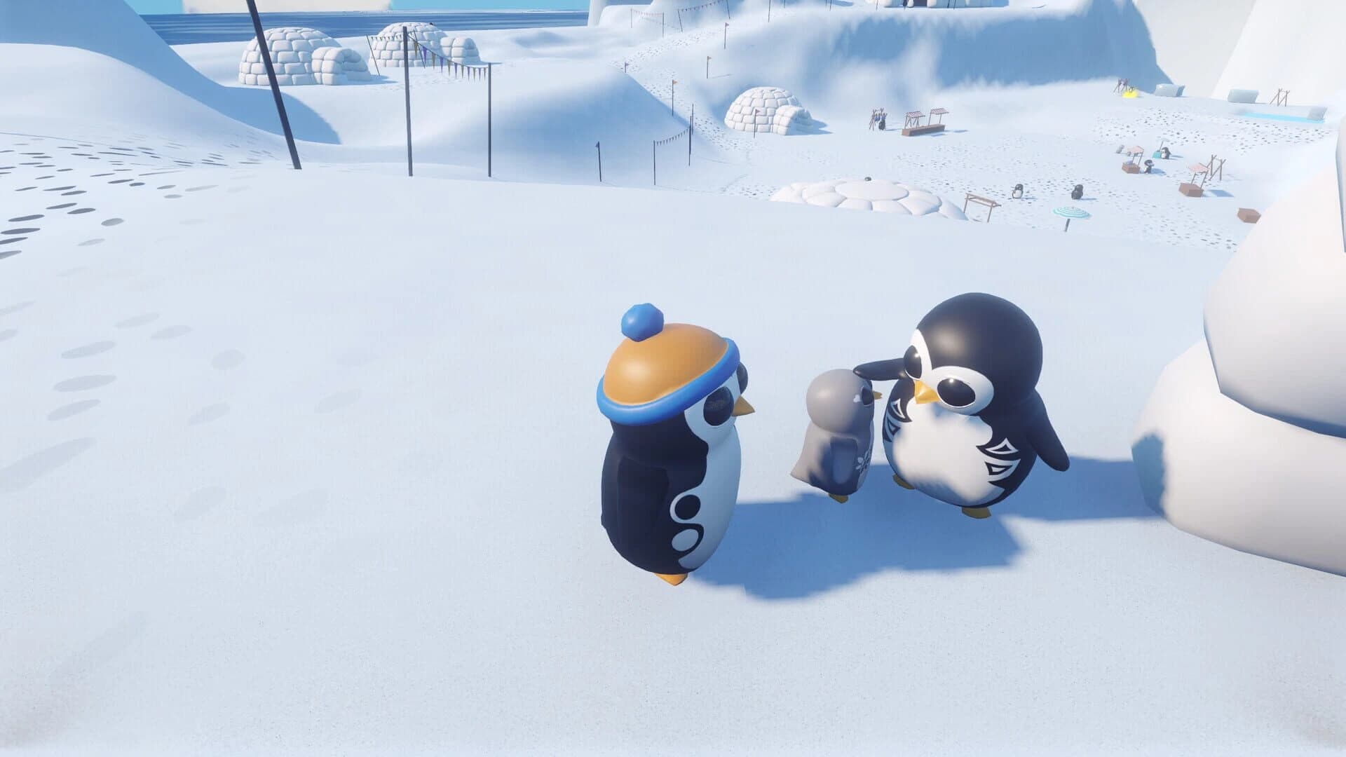 Polar Pathways screenshot 5