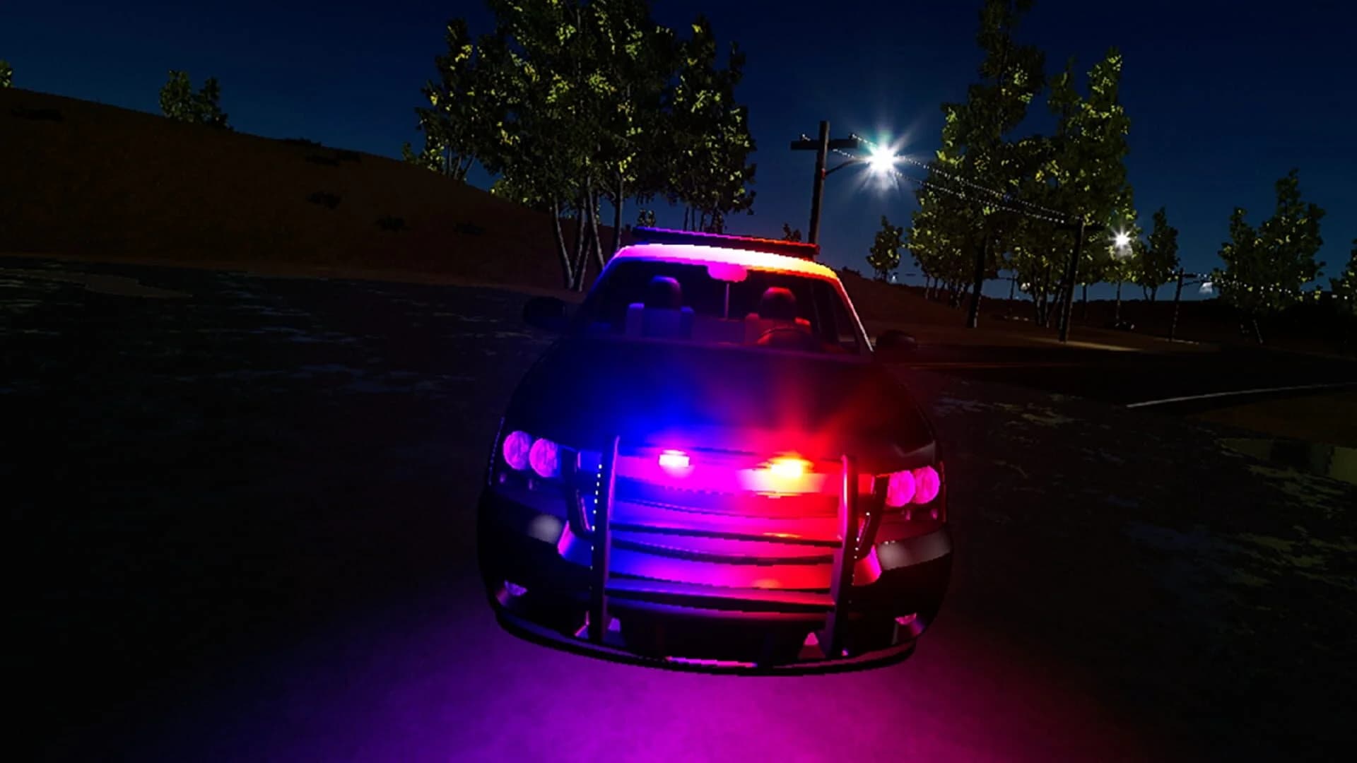 Police Enforcement VR : 1-K-27 screenshot 4