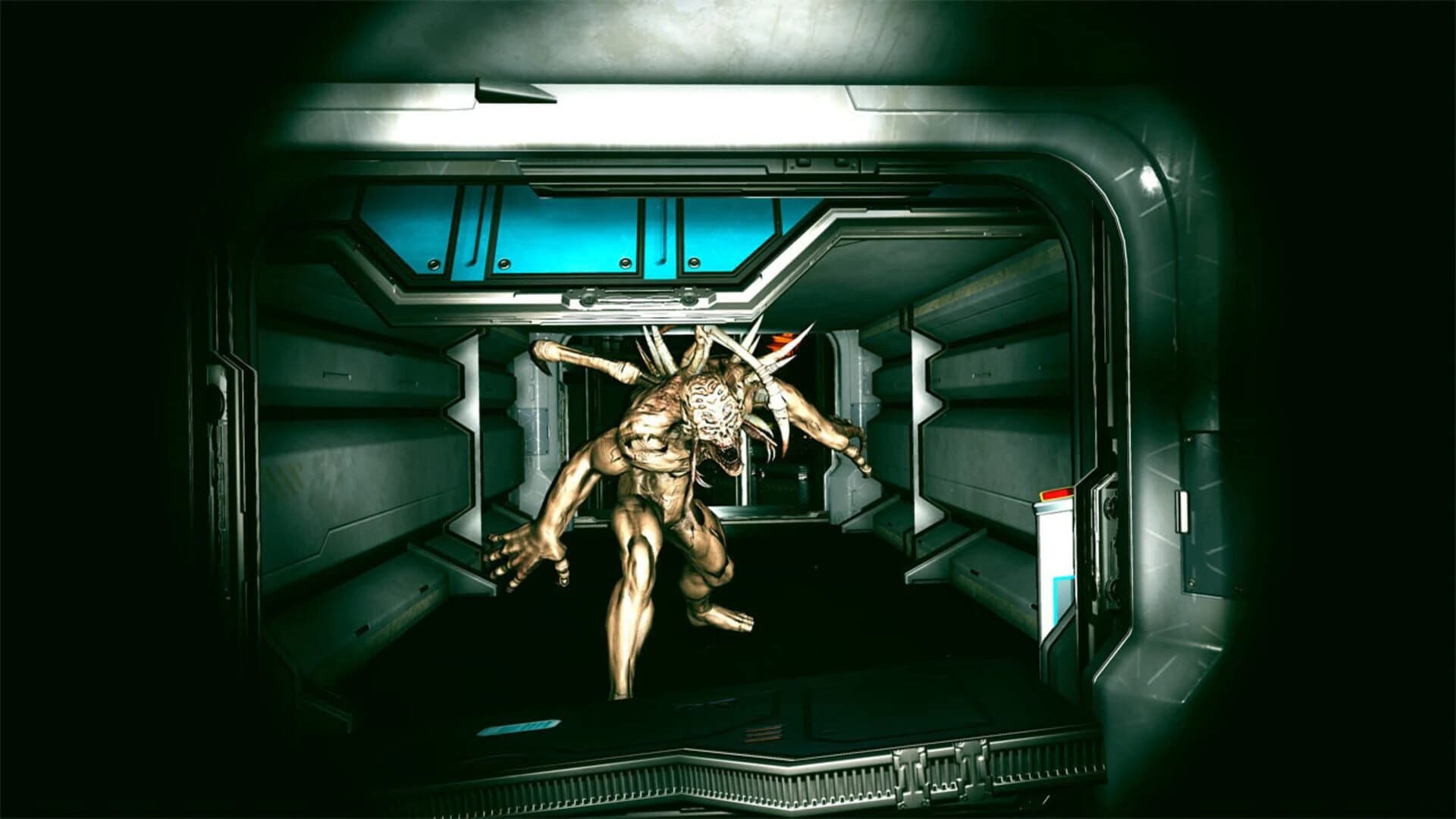 Predator and Wreck screenshot 1