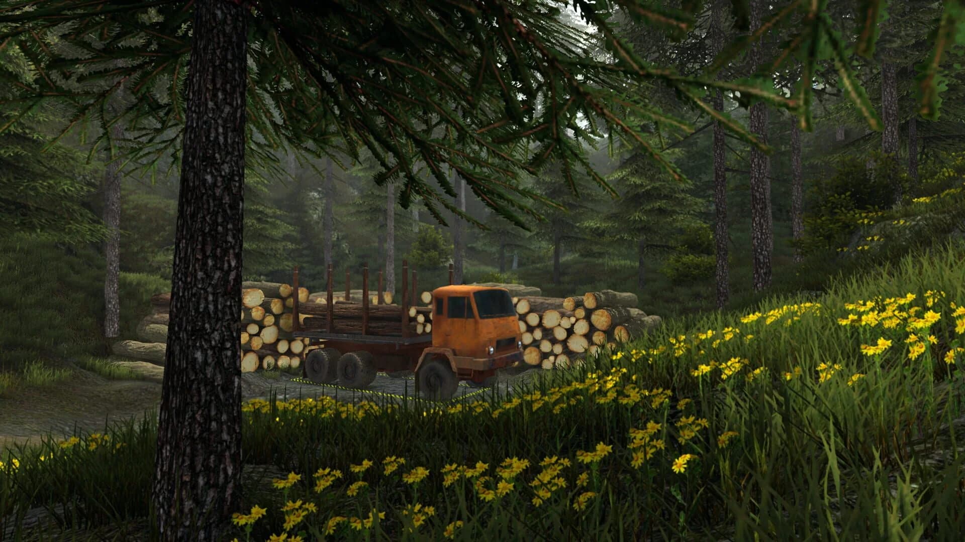 Professional Offroad Transport Simulator screenshot 3