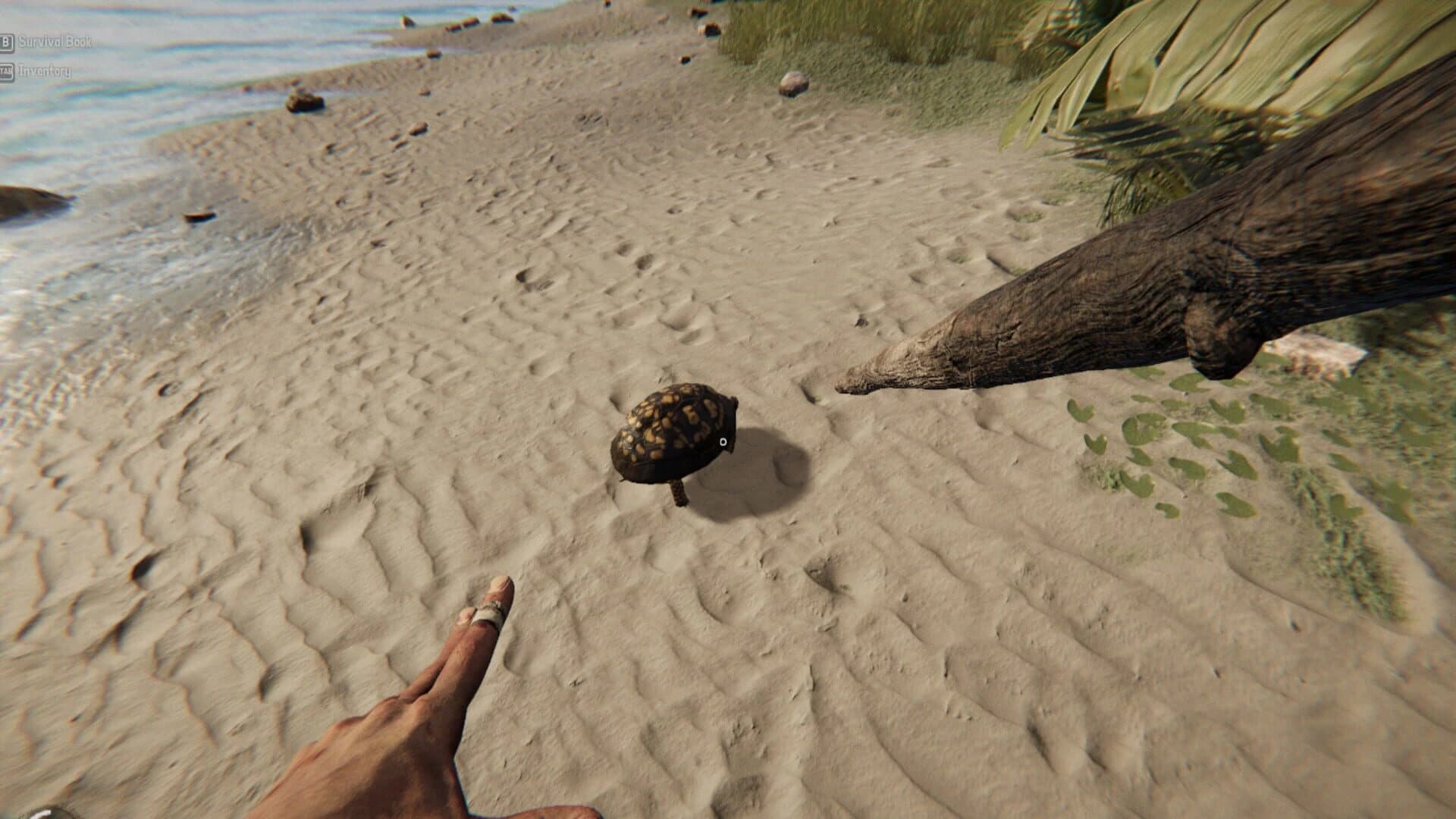 Project Castaway screenshot 5