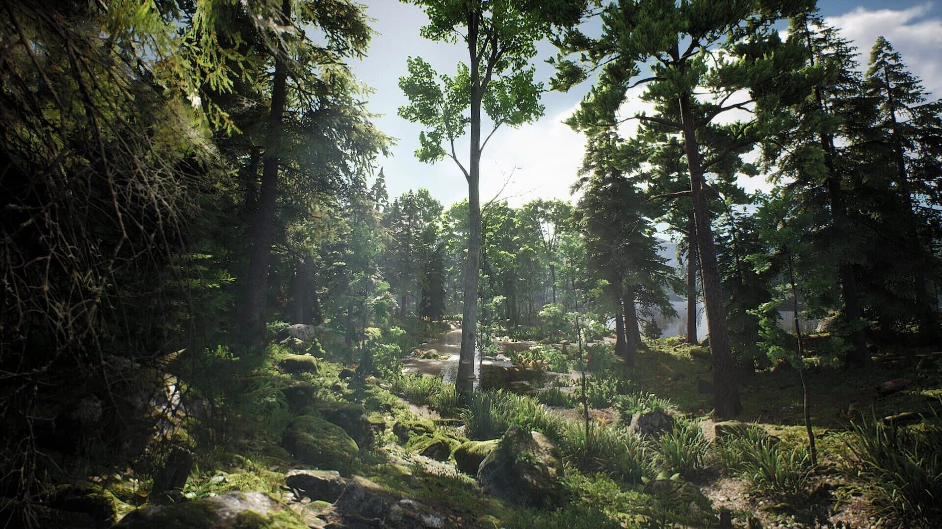 Project Hunt screenshot 5