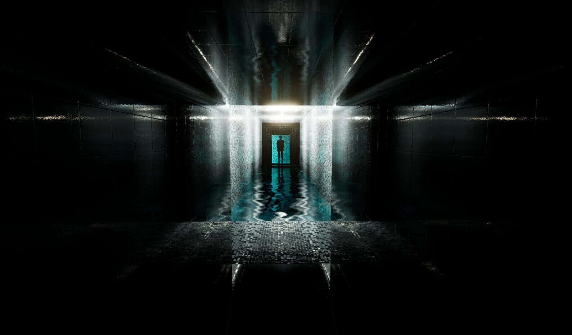 Project Liminal Redux screenshot 5