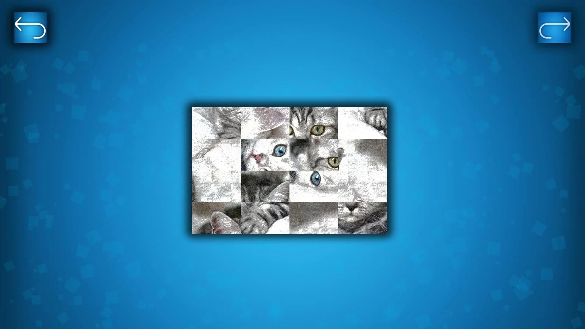 Puzzle: Cats & Dogs screenshot 1