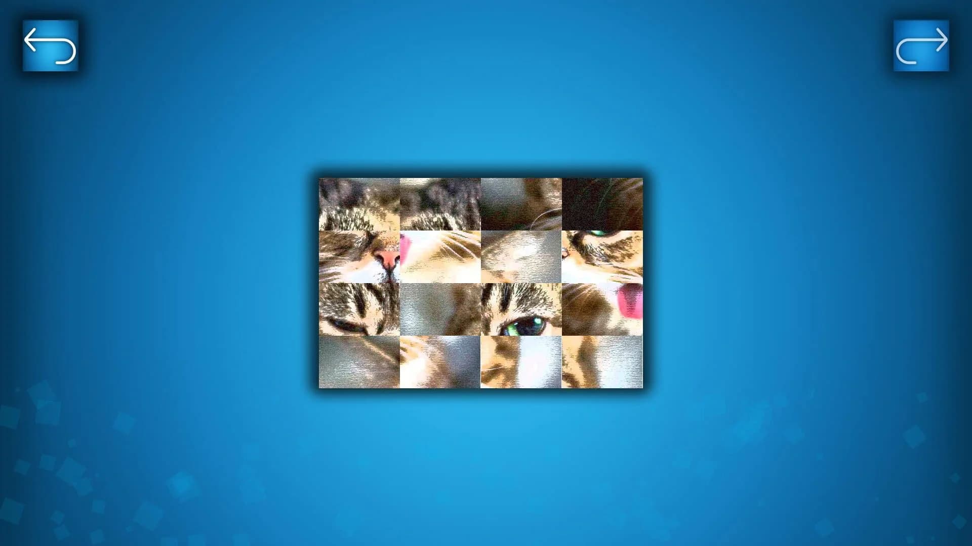 Puzzle: Cats & Dogs screenshot 4