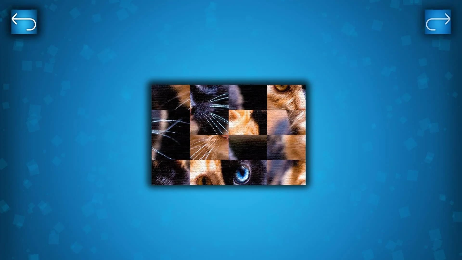 Puzzle: Cats & Dogs screenshot 2