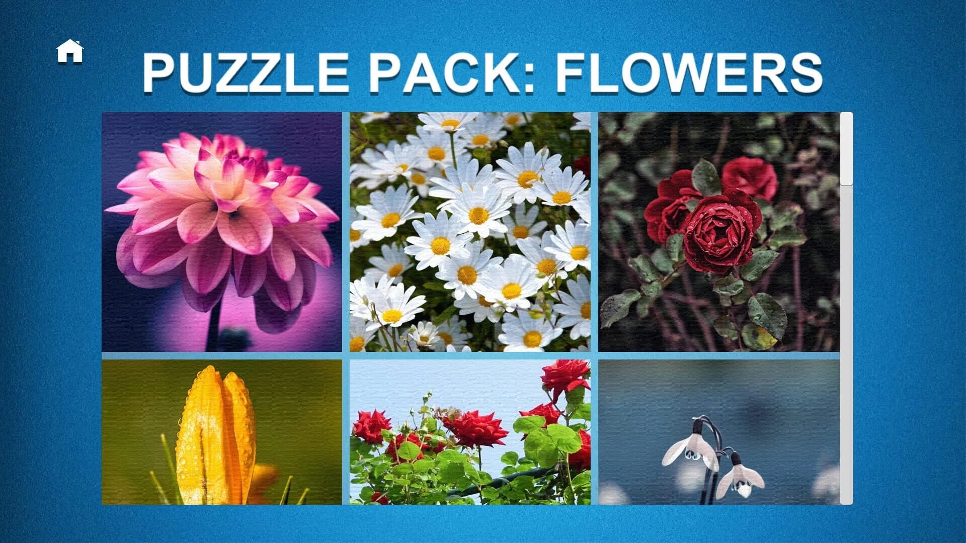 Puzzle: Ultimate - Puzzle Pack: Flowers screenshot 1