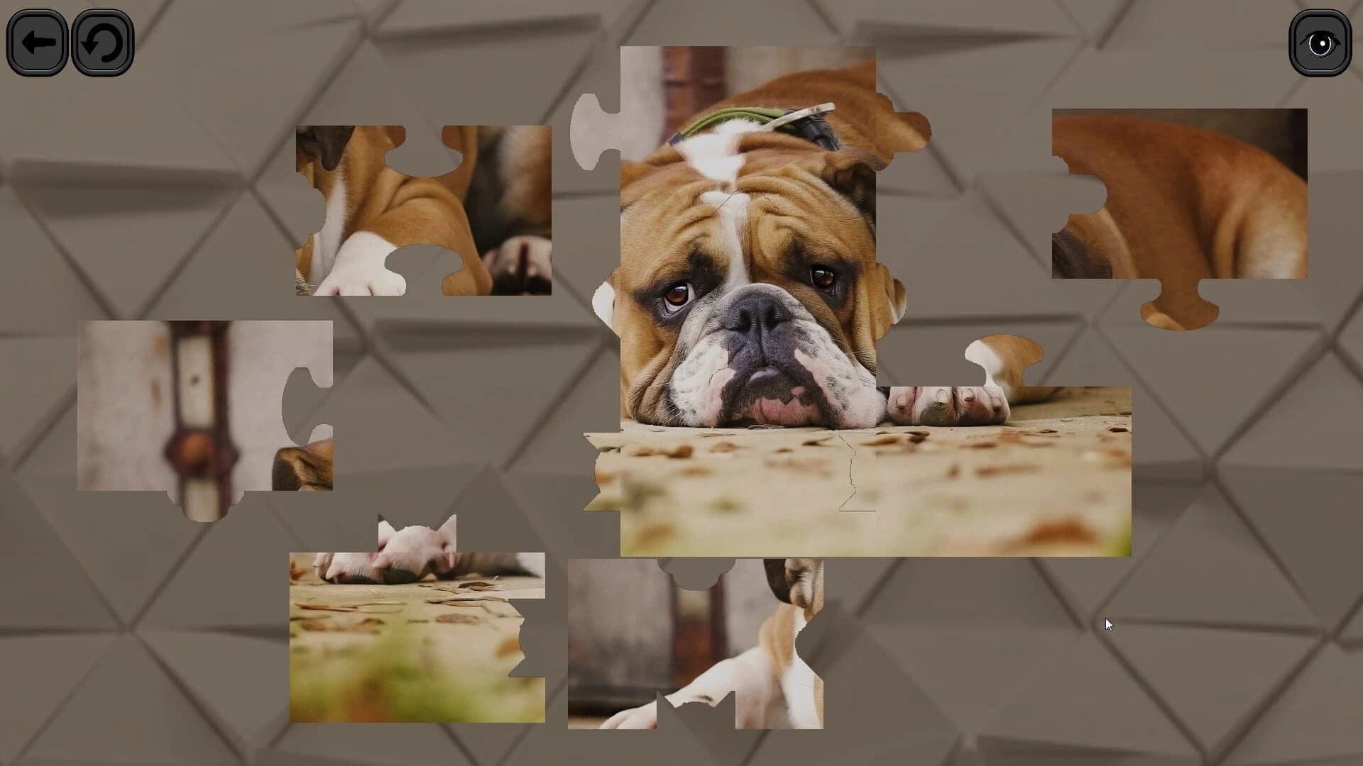 Puzzles for smart: Dogs screenshot 1