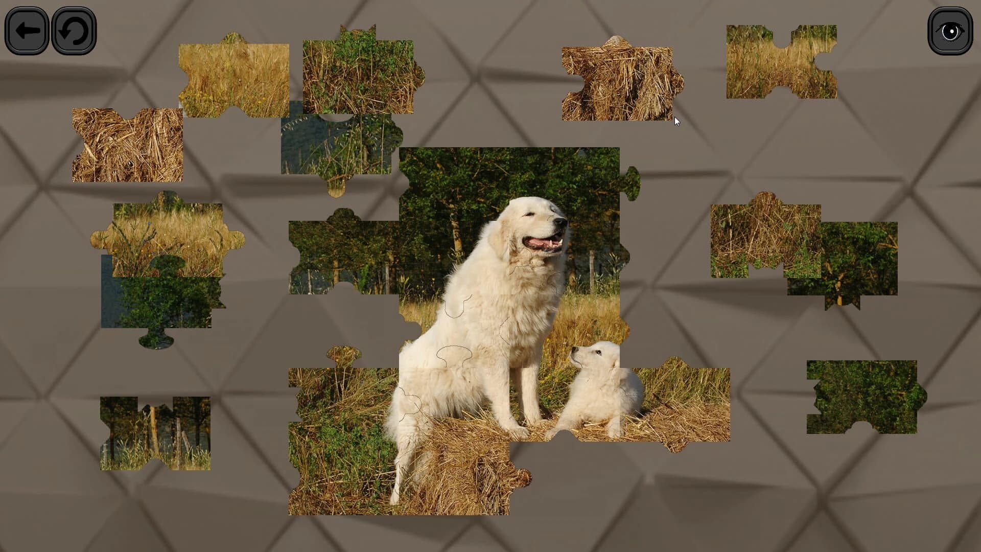 Puzzles for smart: Dogs screenshot 5