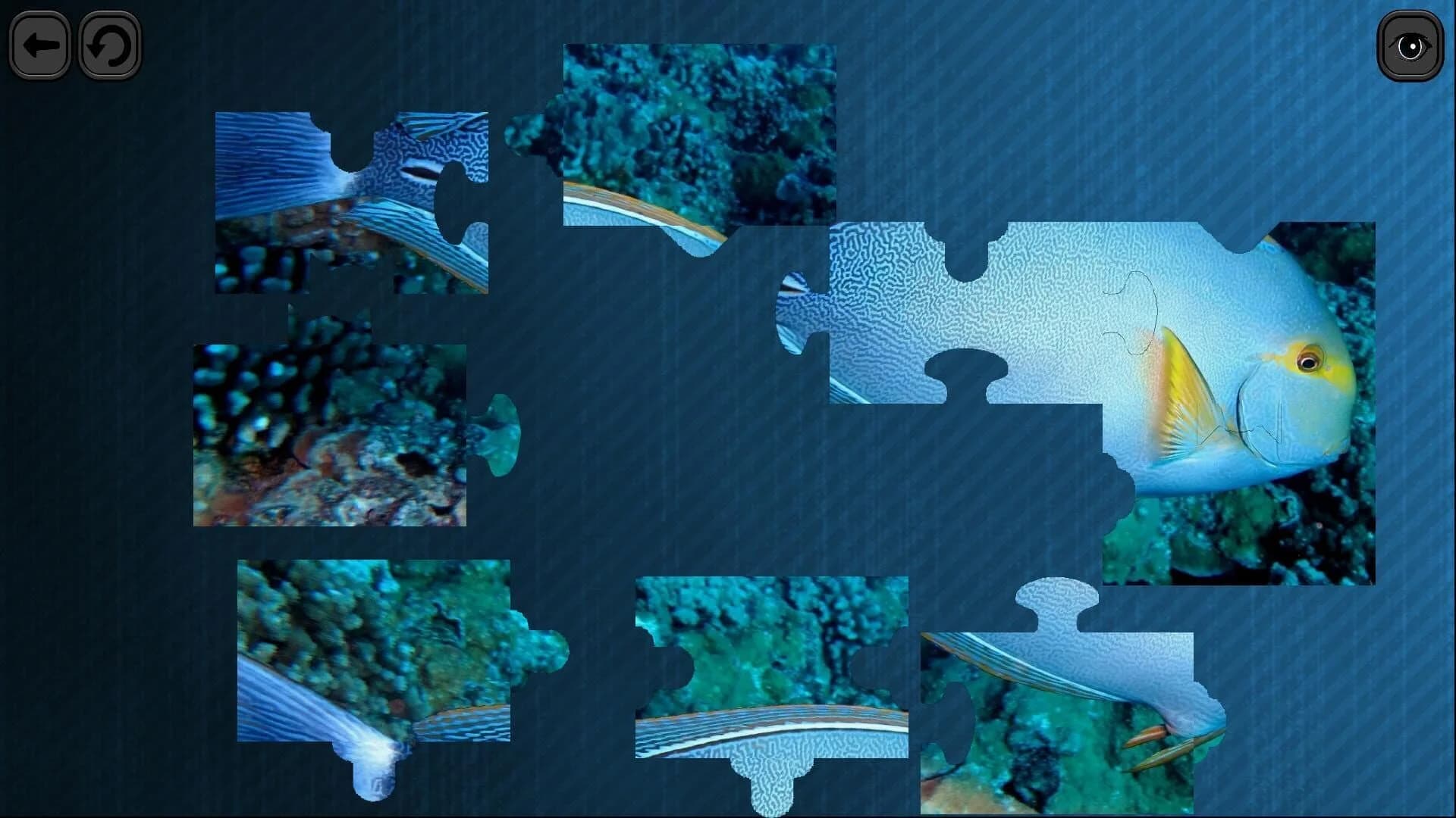 Puzzles for smart: Underwater Kingdom screenshot 1