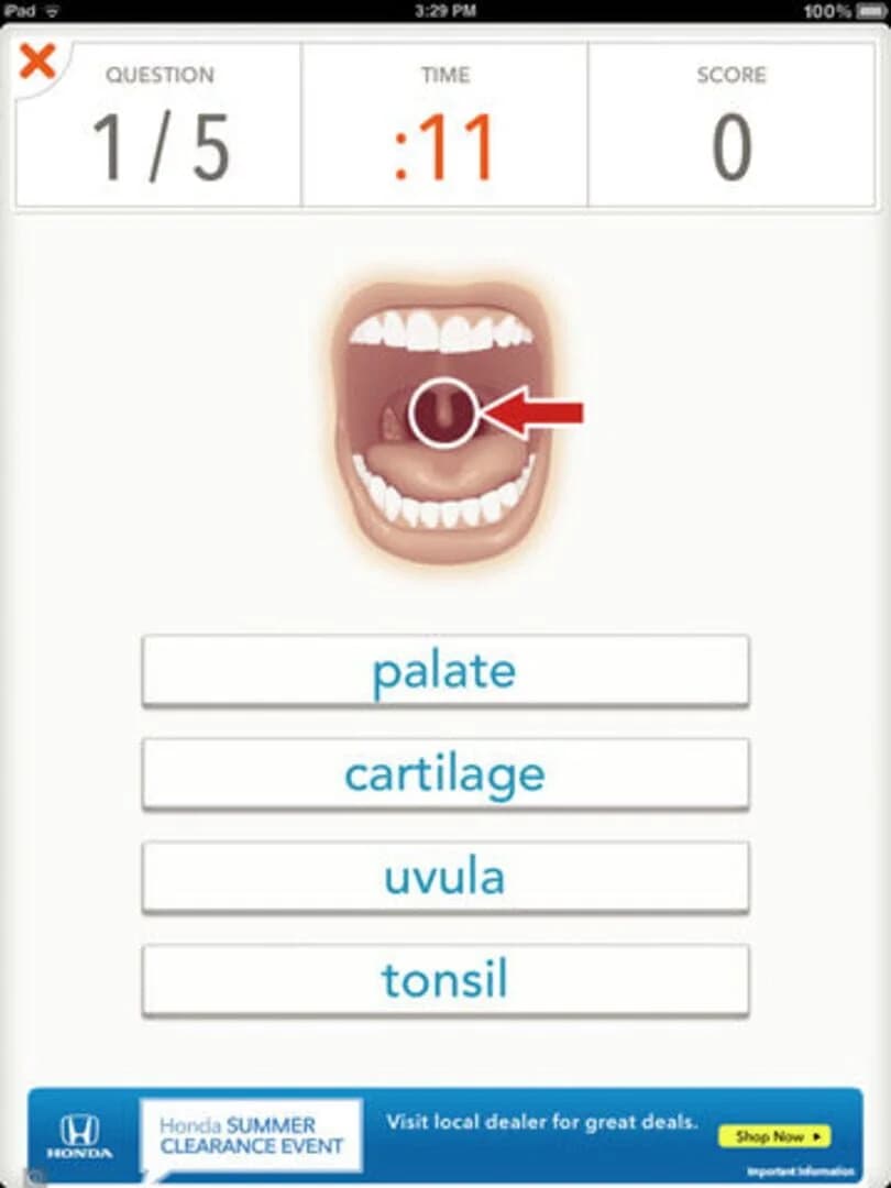 Quizzitive screenshot 5