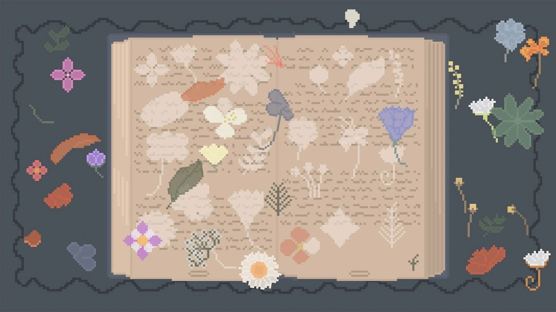 Raccoon Cocoon screenshot 2