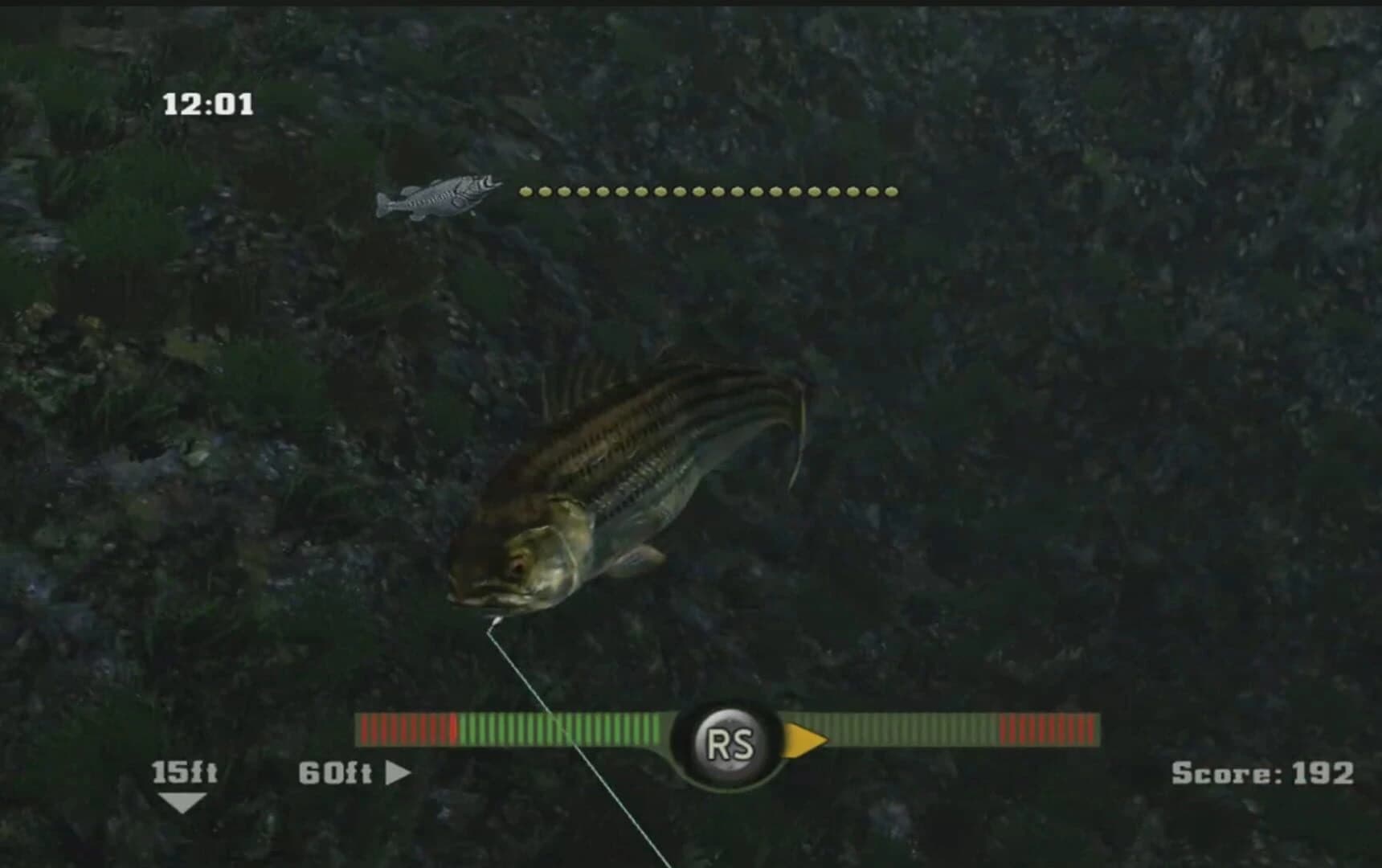 Rapala Fishing Frenzy 2009 screenshot 1