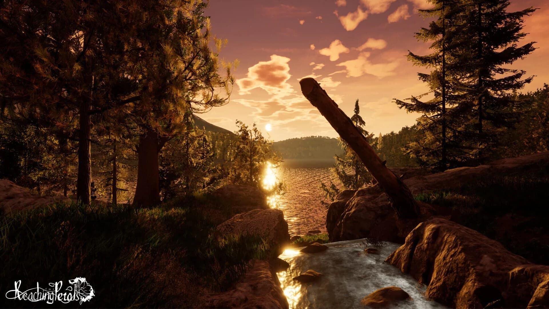 Reaching for Petals: VR Edition screenshot 1