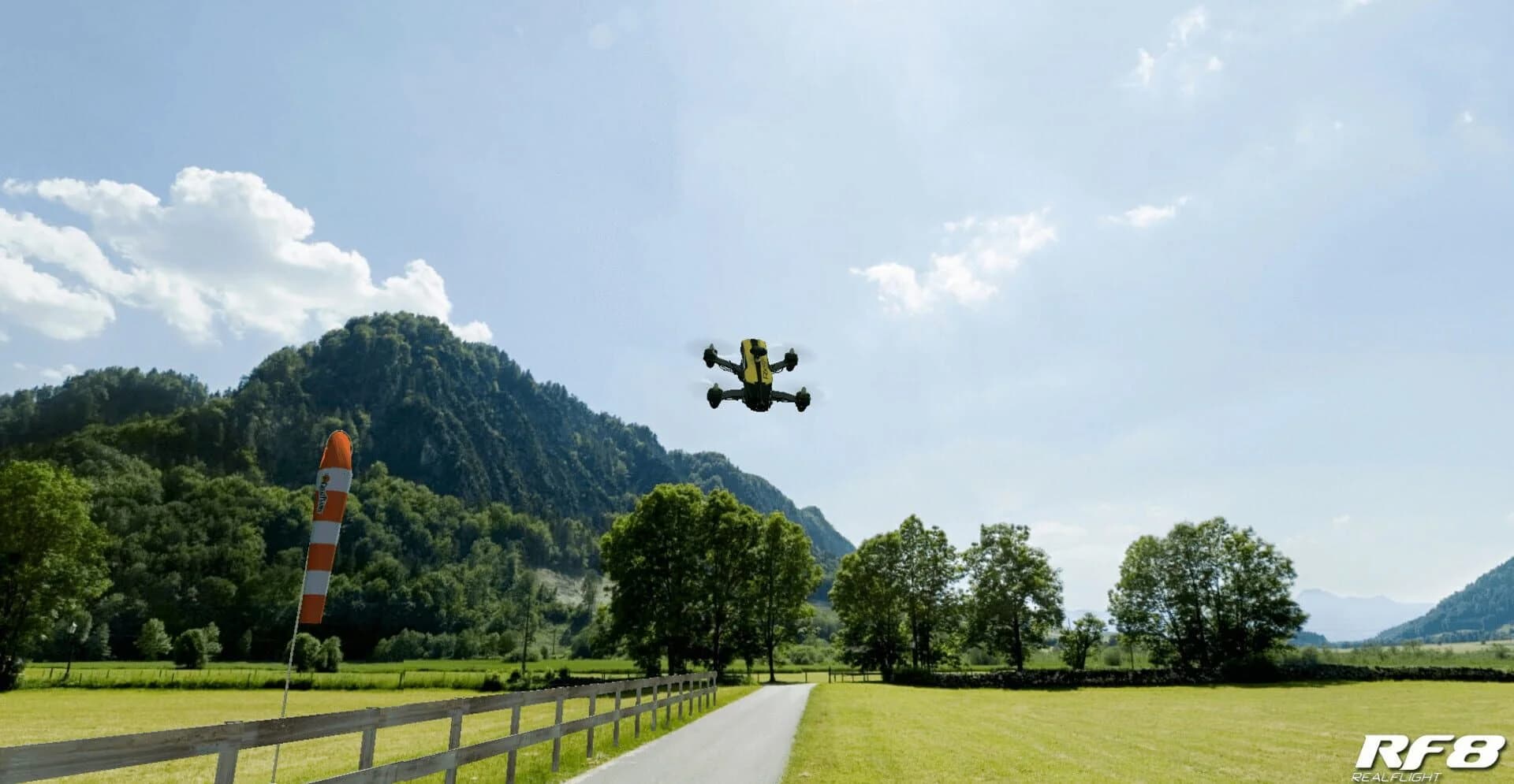 RealFlight 8 screenshot 1