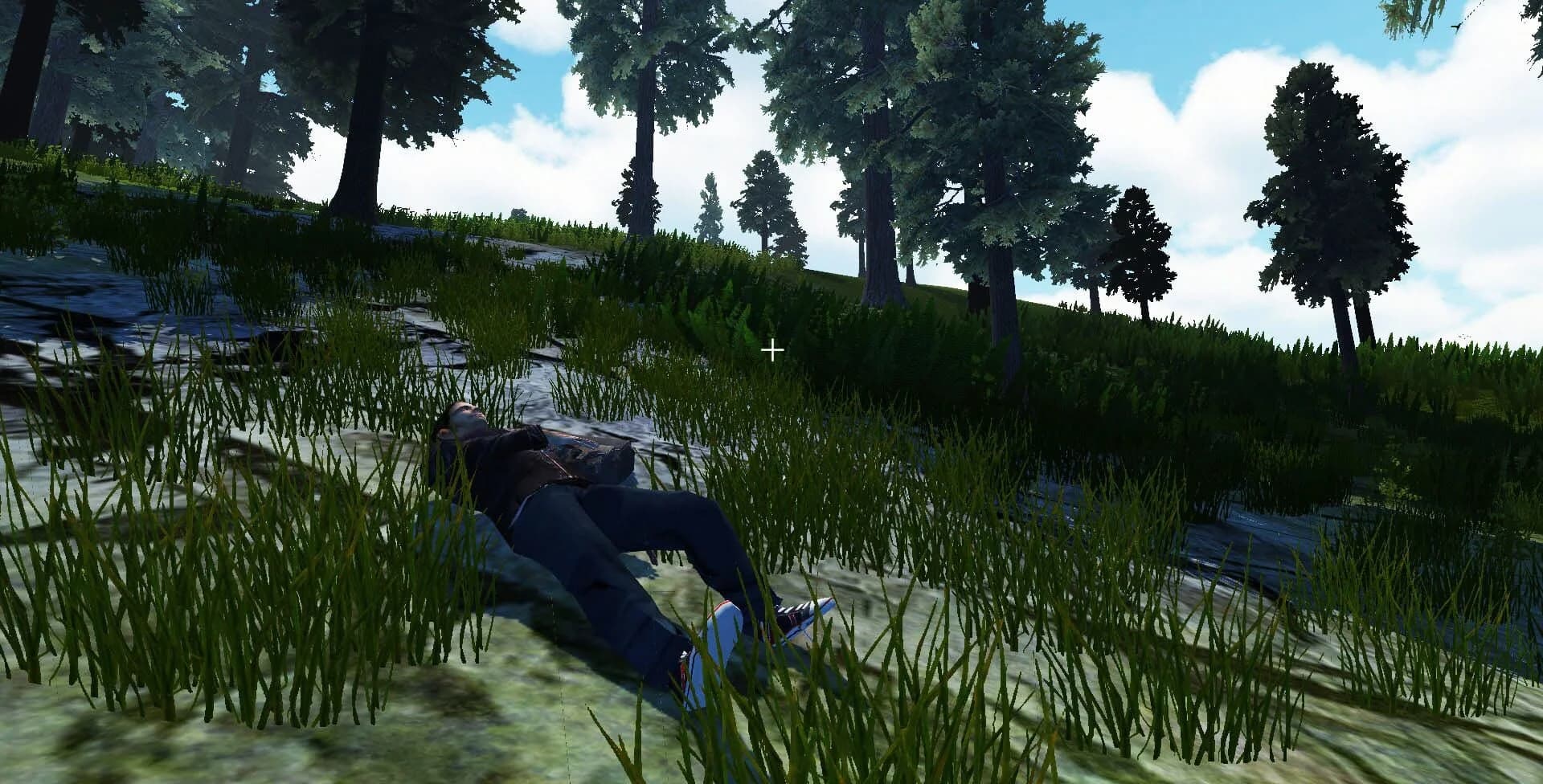Recovery Search and Rescue Simulation screenshot 2