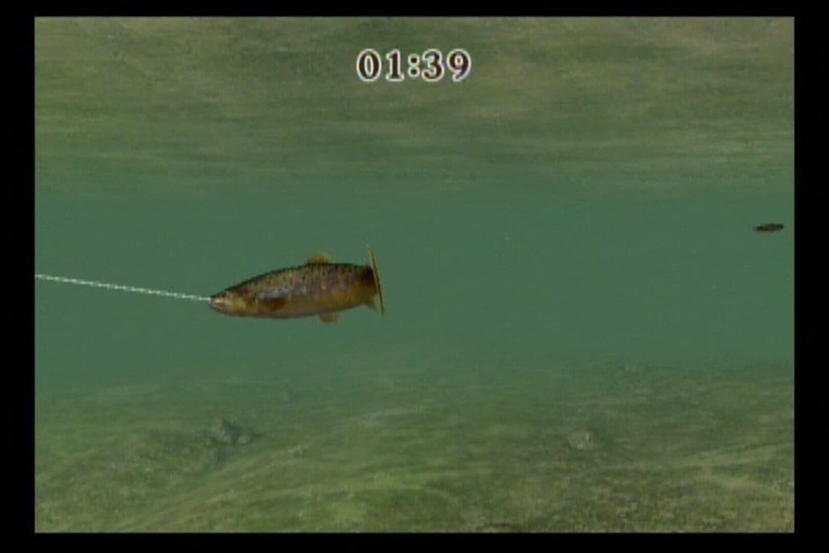 Reel Fishing Challenge screenshot 5