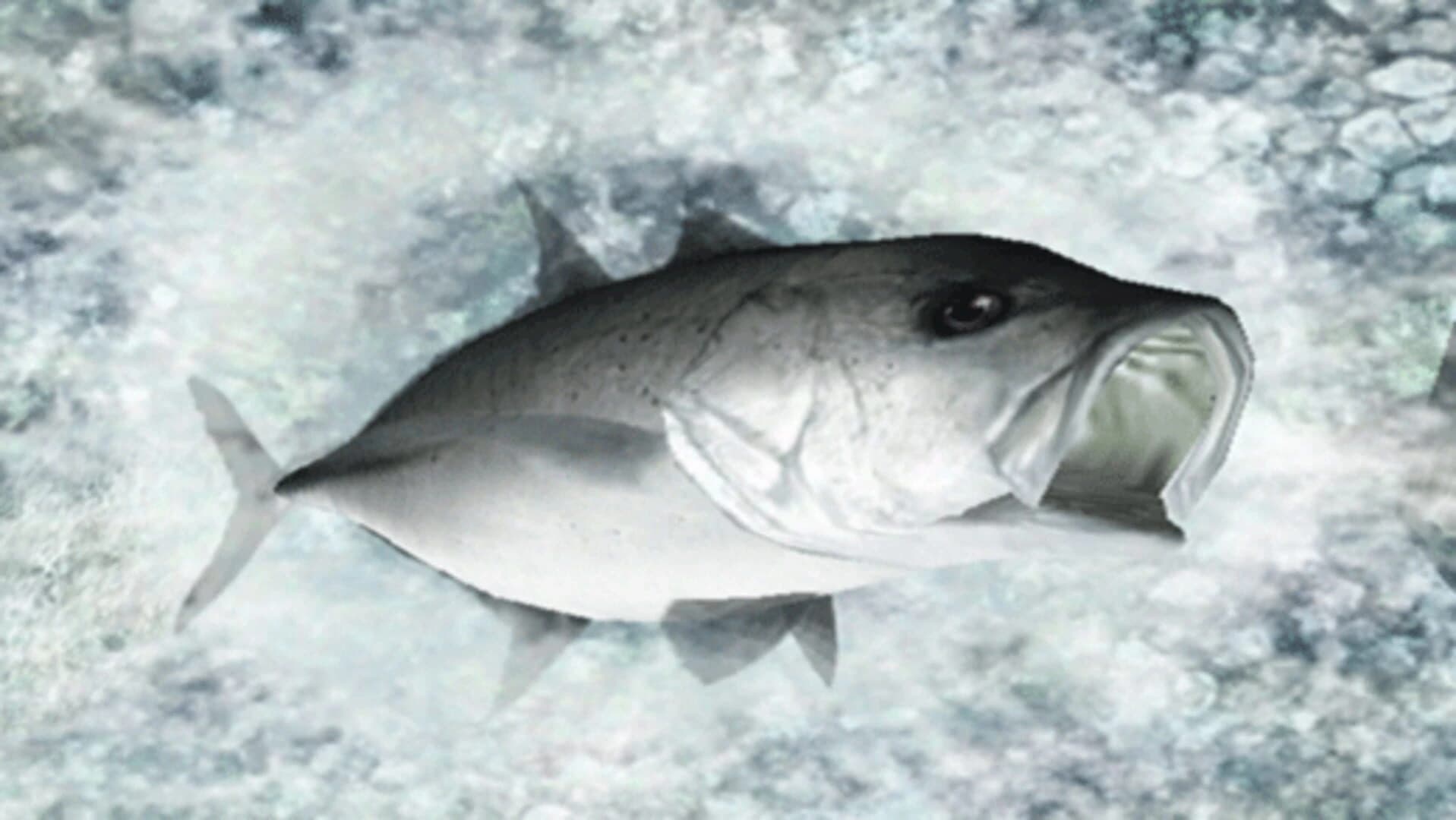Reel Fishing: Ocean Challenge screenshot 2