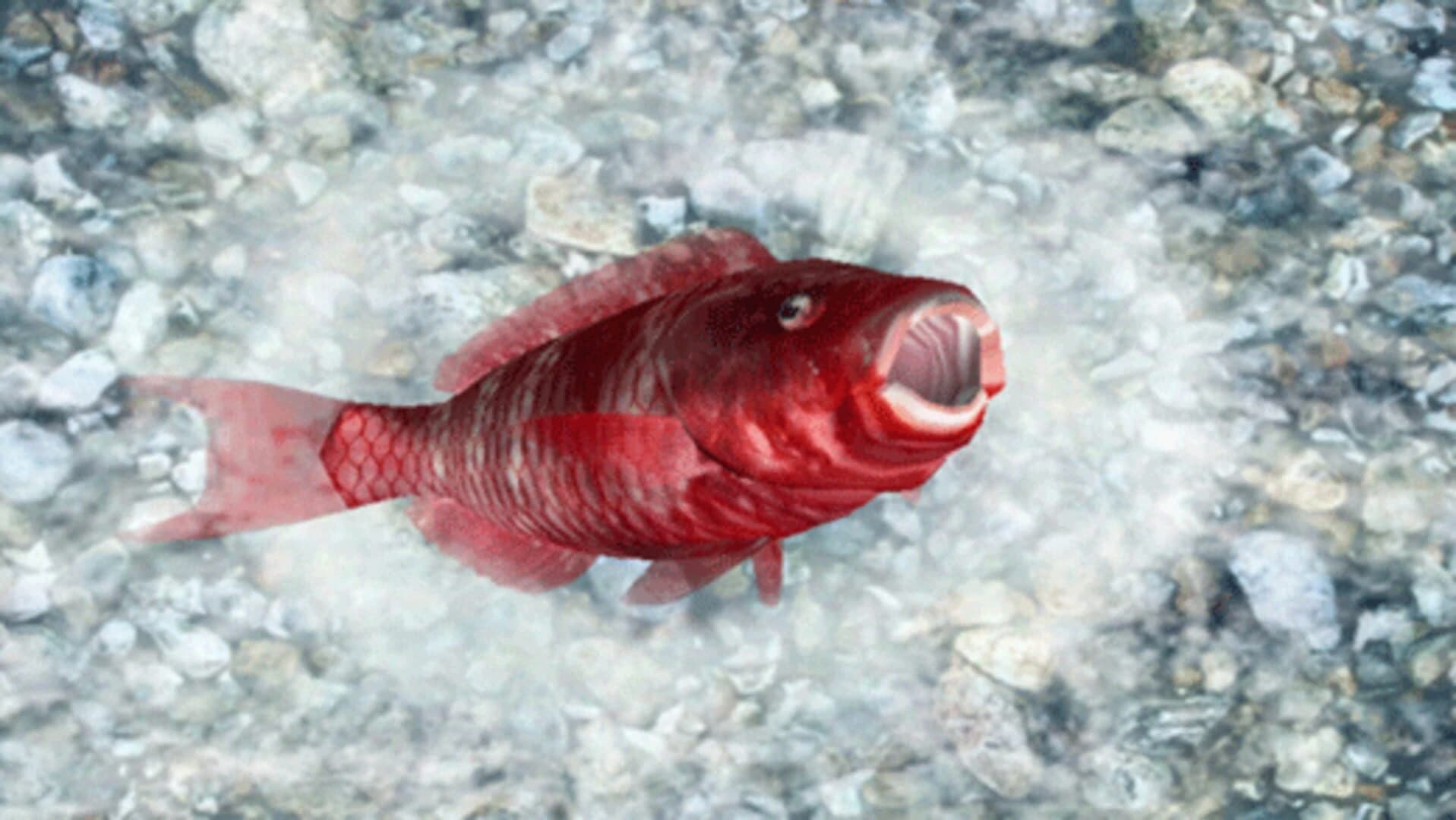 Reel Fishing: Ocean Challenge screenshot 3