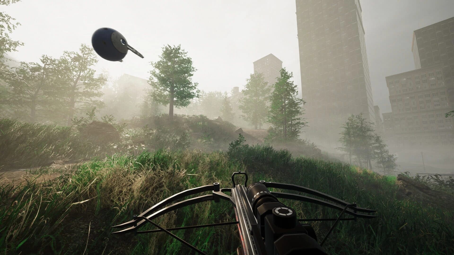 Remoteness screenshot 1