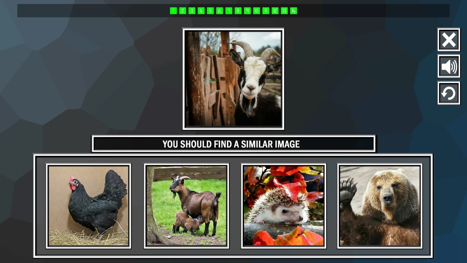 Repeat the image: Animals screenshot 1