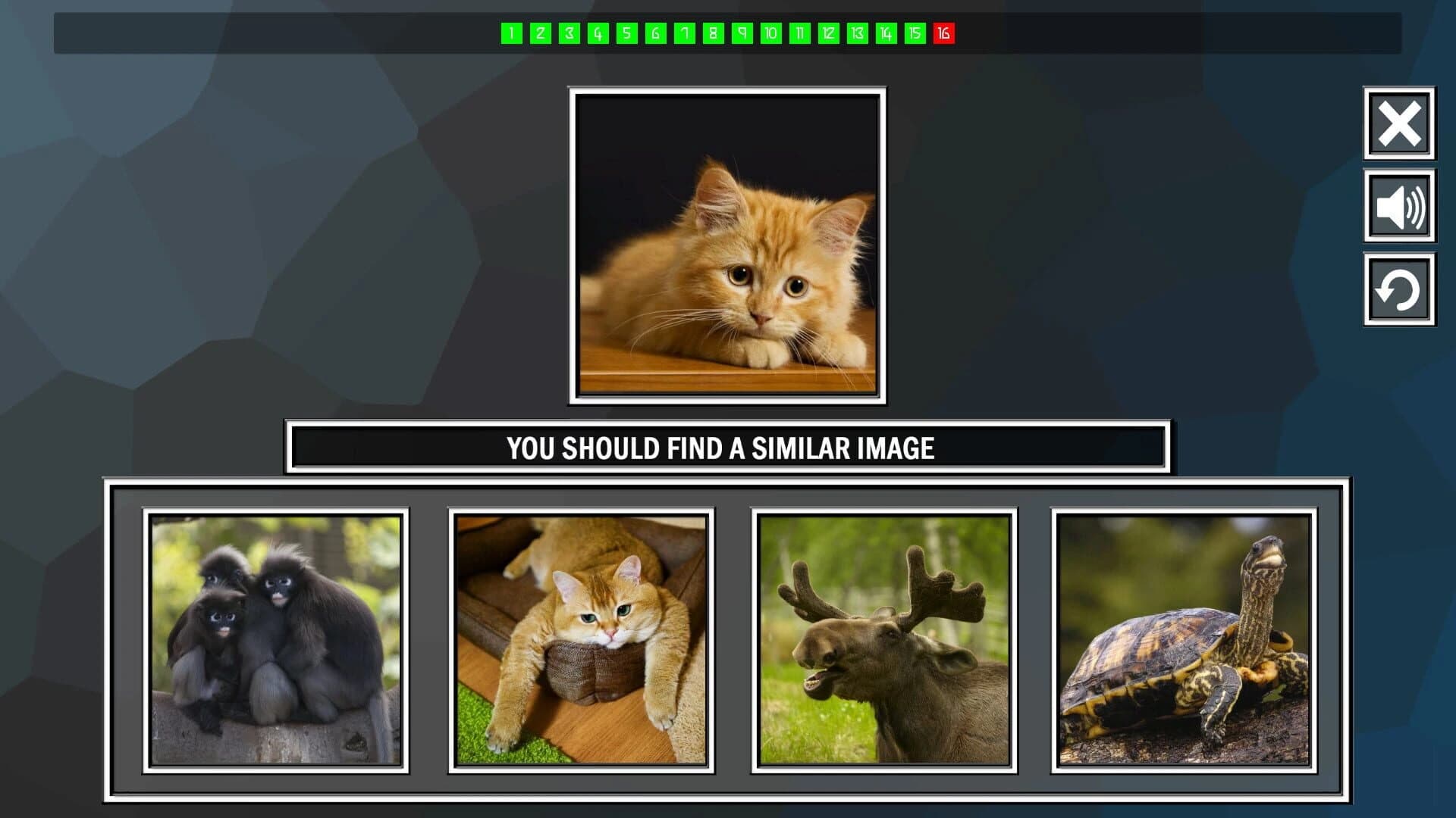 Repeat the image: Animals screenshot 5