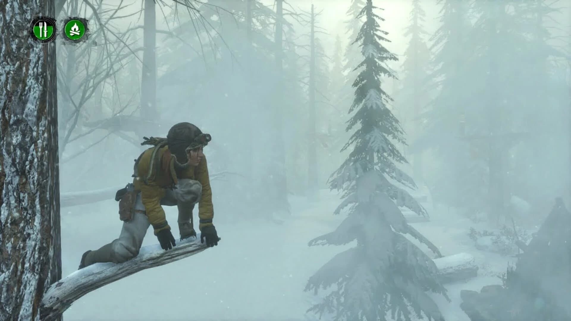 Rise of the Tomb Raider: Endurance Mode screenshot 1