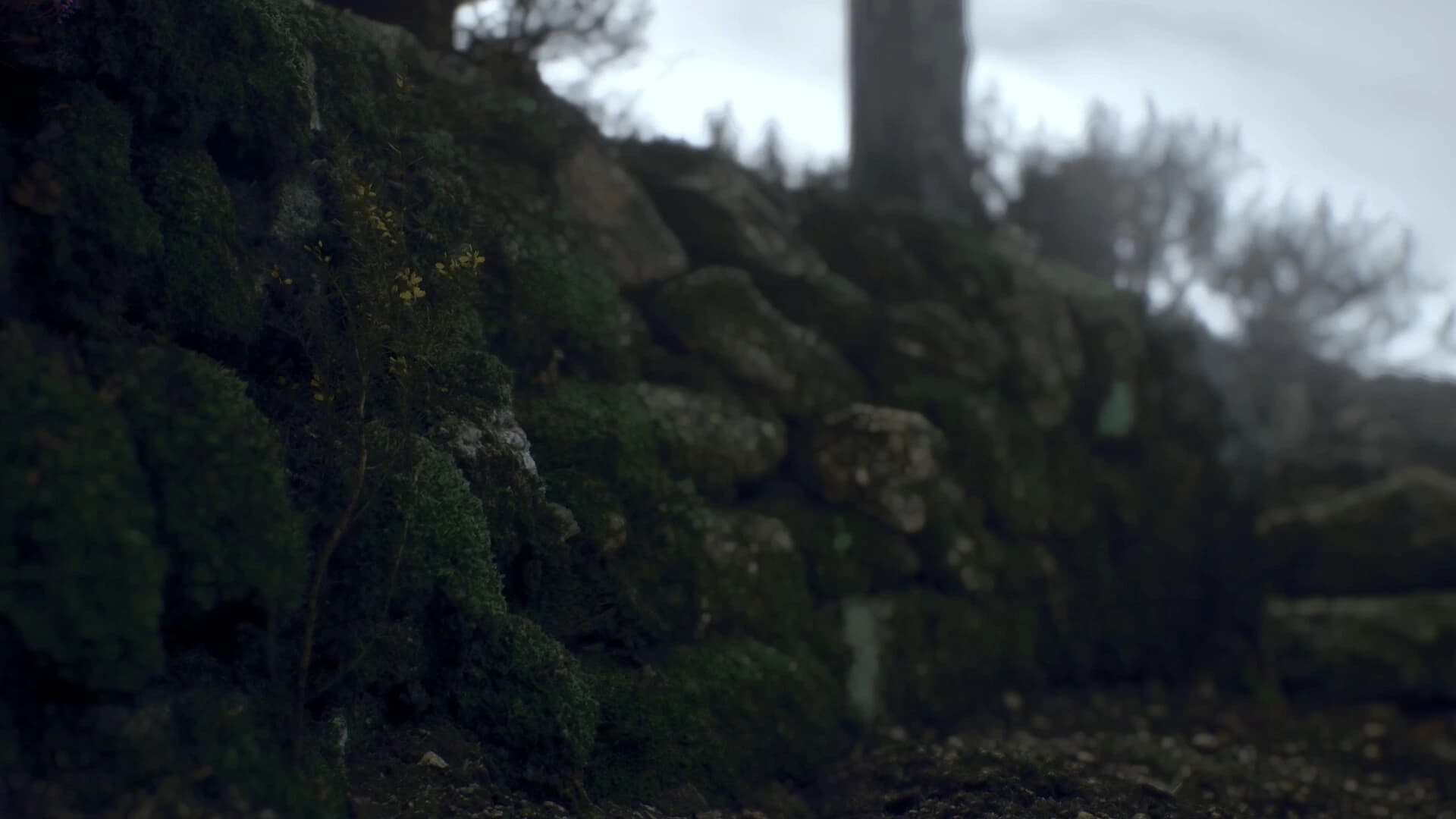 Ritual Tides screenshot 5