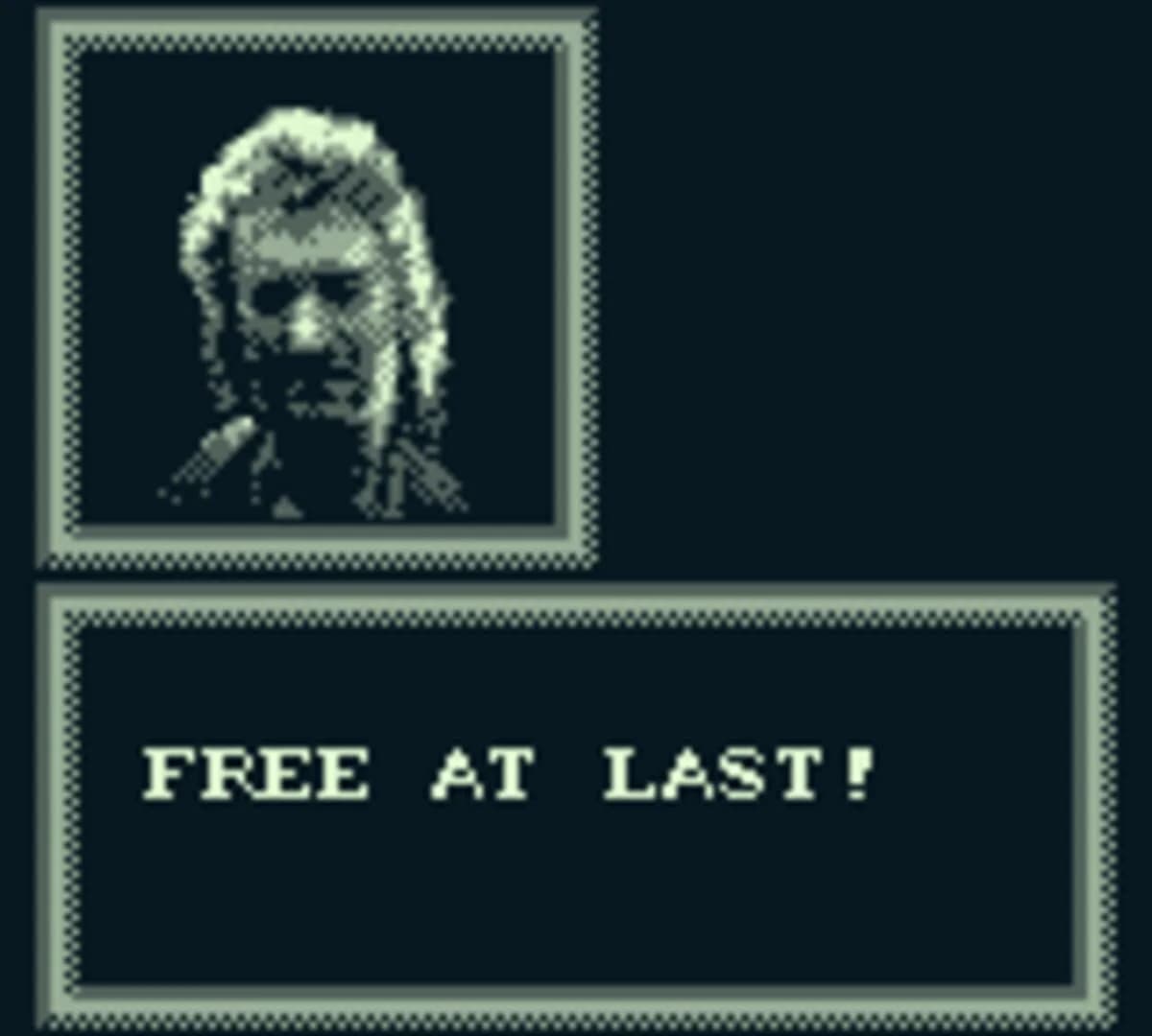 Robin Hood: Prince of Thieves screenshot 1