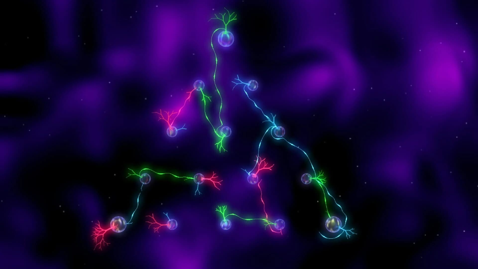 R.O.O.T.S screenshot 4