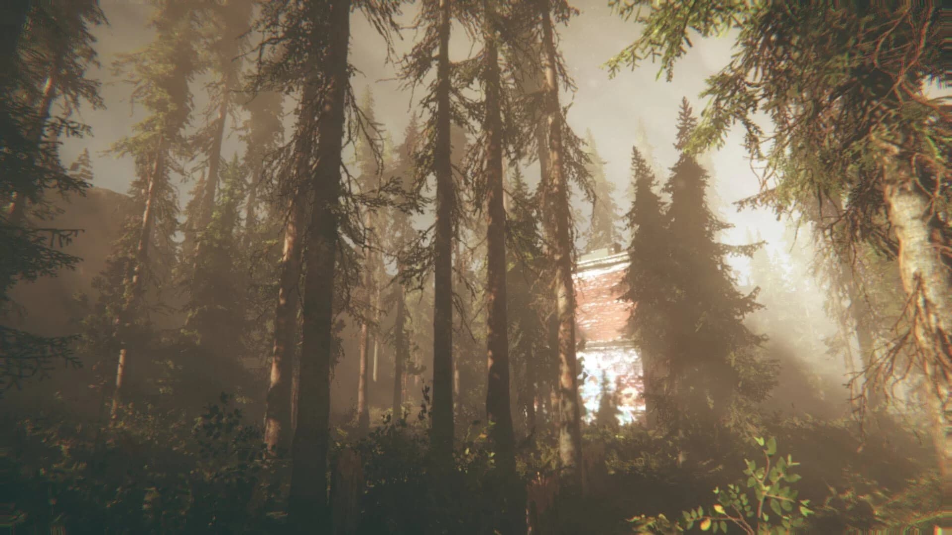 Rot: Purgatory Hill screenshot 2