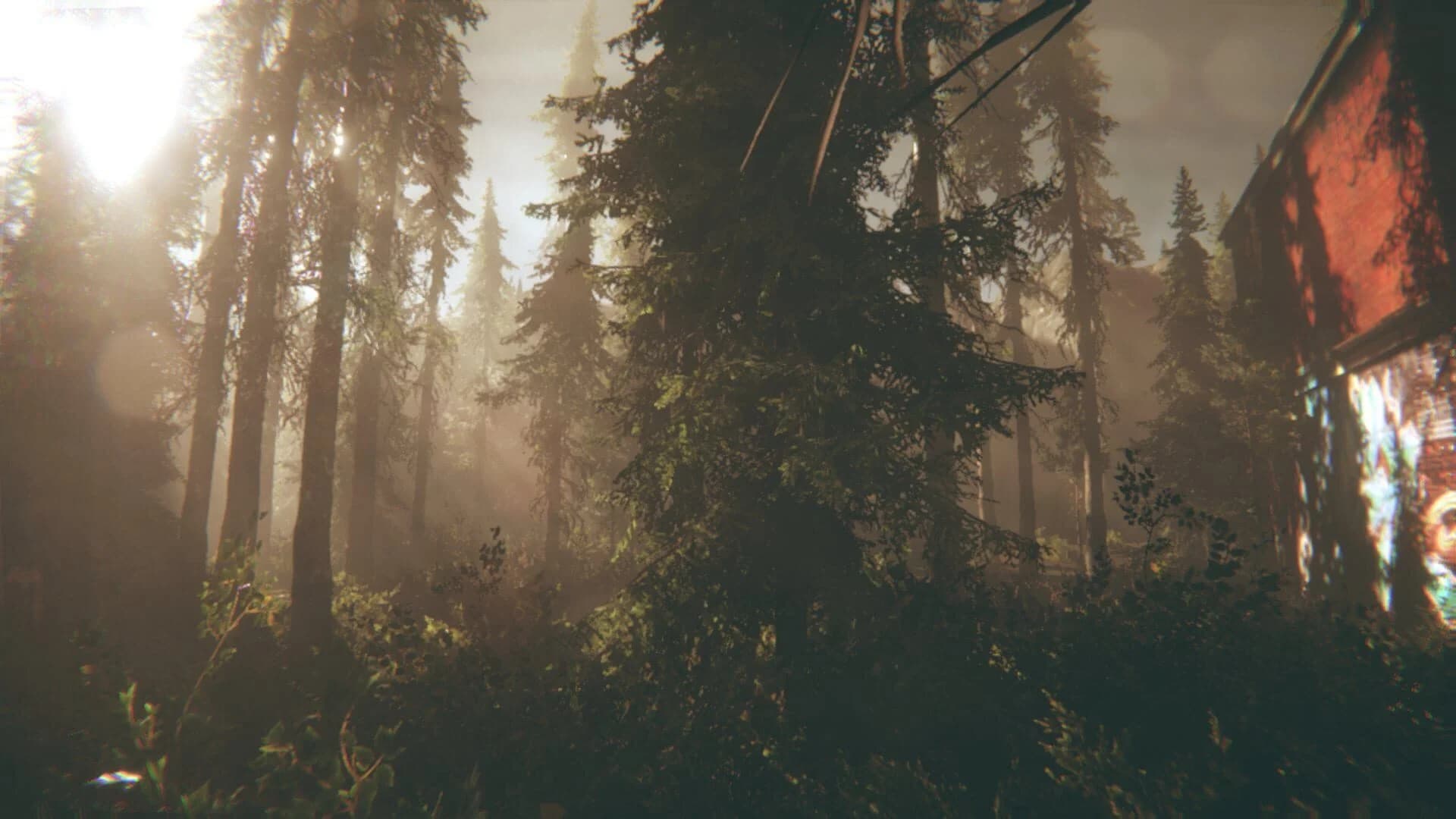 Rot: Purgatory Hill screenshot 4