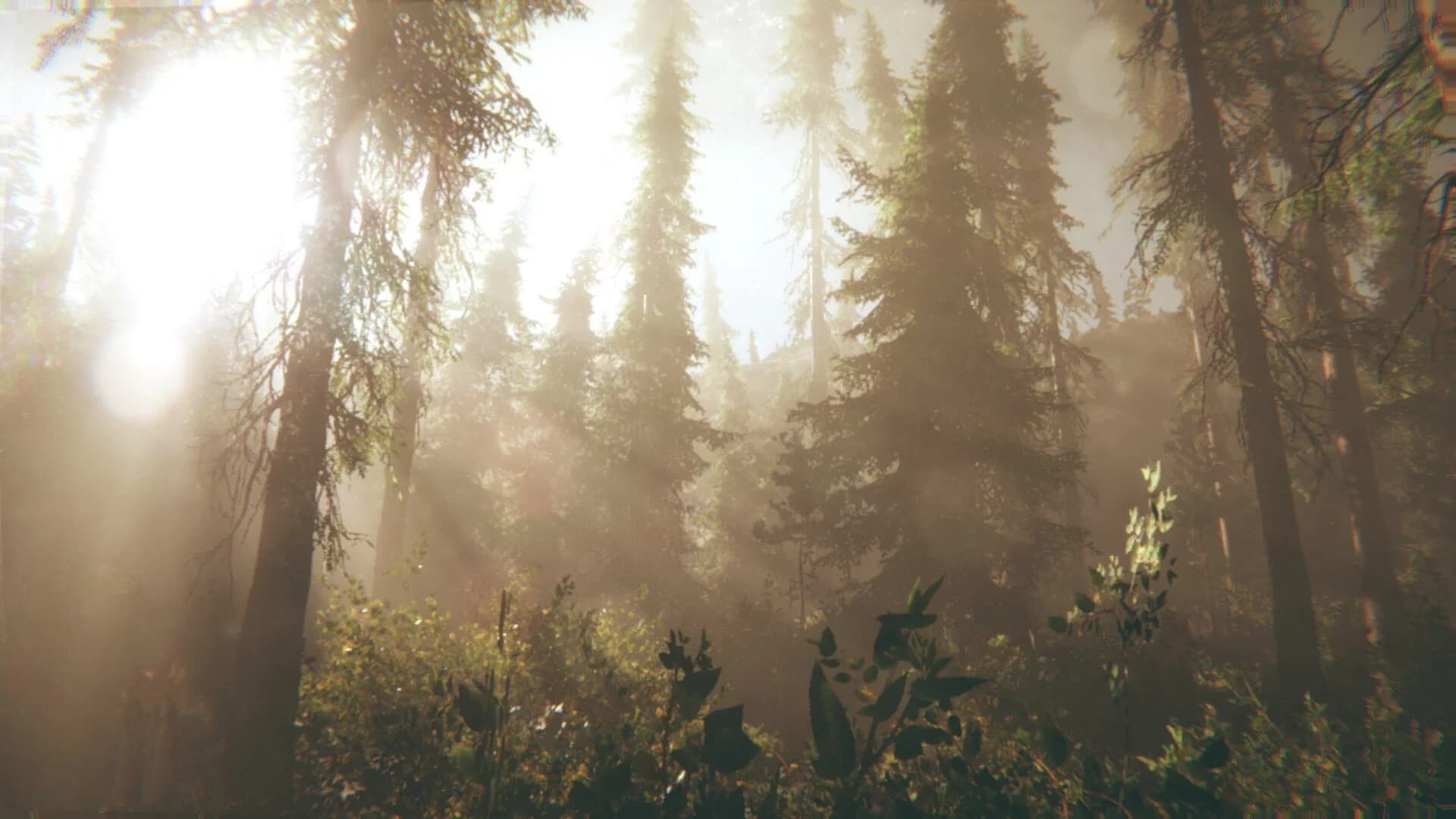 Rot: Purgatory Hill screenshot 1