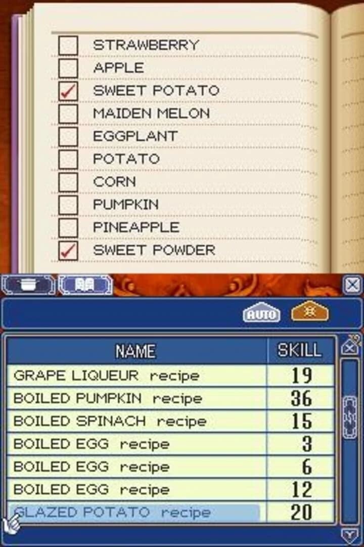 Rune Factory 2: A Fantasy Harvest Moon screenshot 1