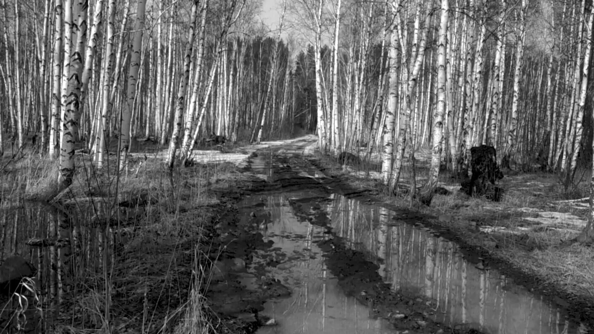 Russian Psychiatric Pastoral screenshot 4