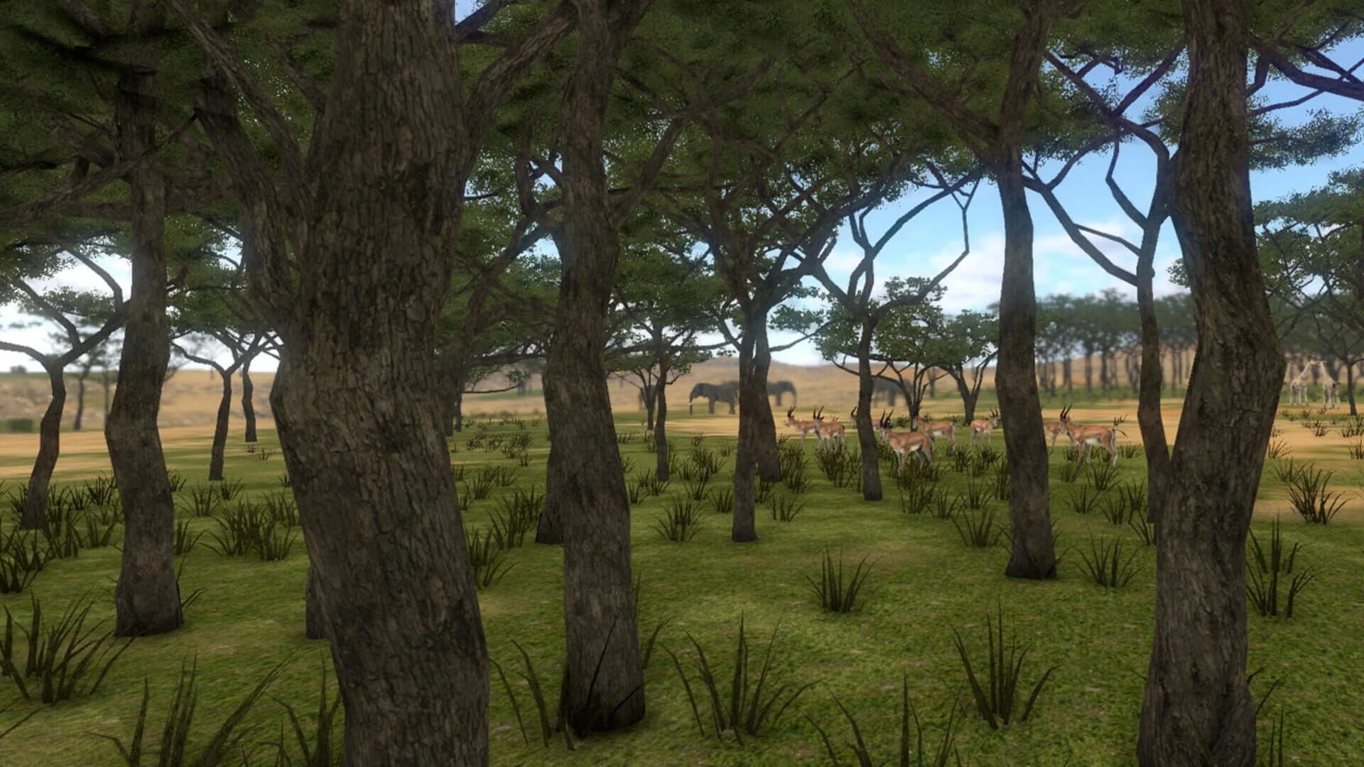 Savanna Shot VR screenshot 4
