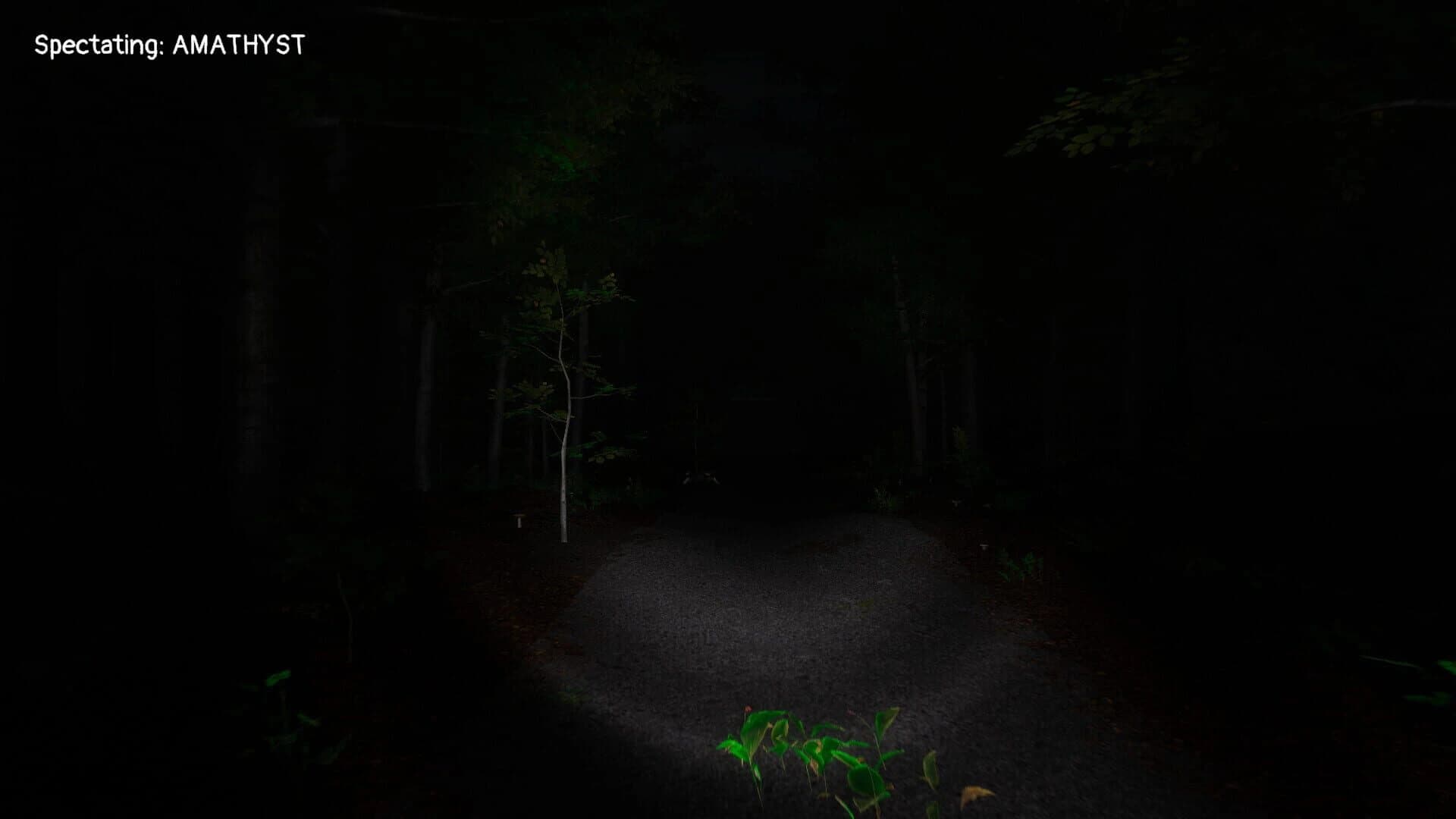 Scopaesthesia screenshot 4
