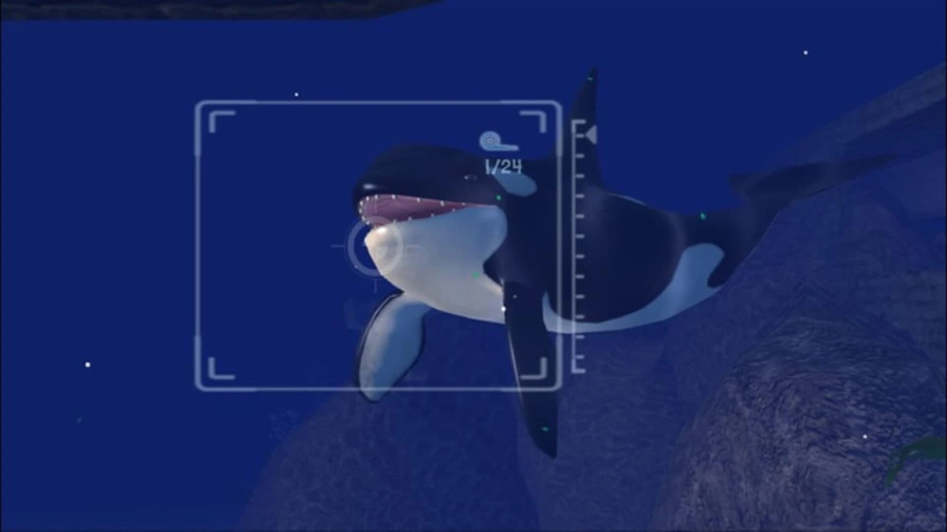 Sealife Safari screenshot 2