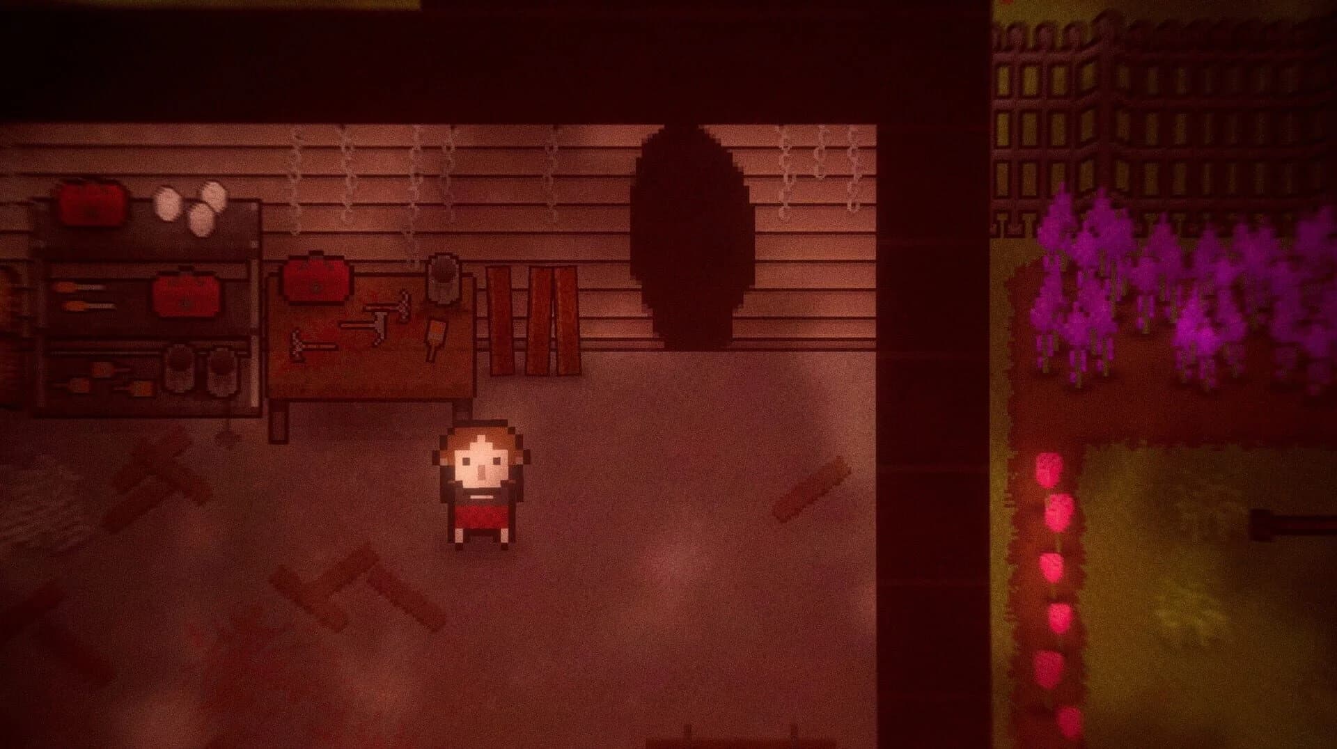 Search Party: Director's Cut screenshot 5