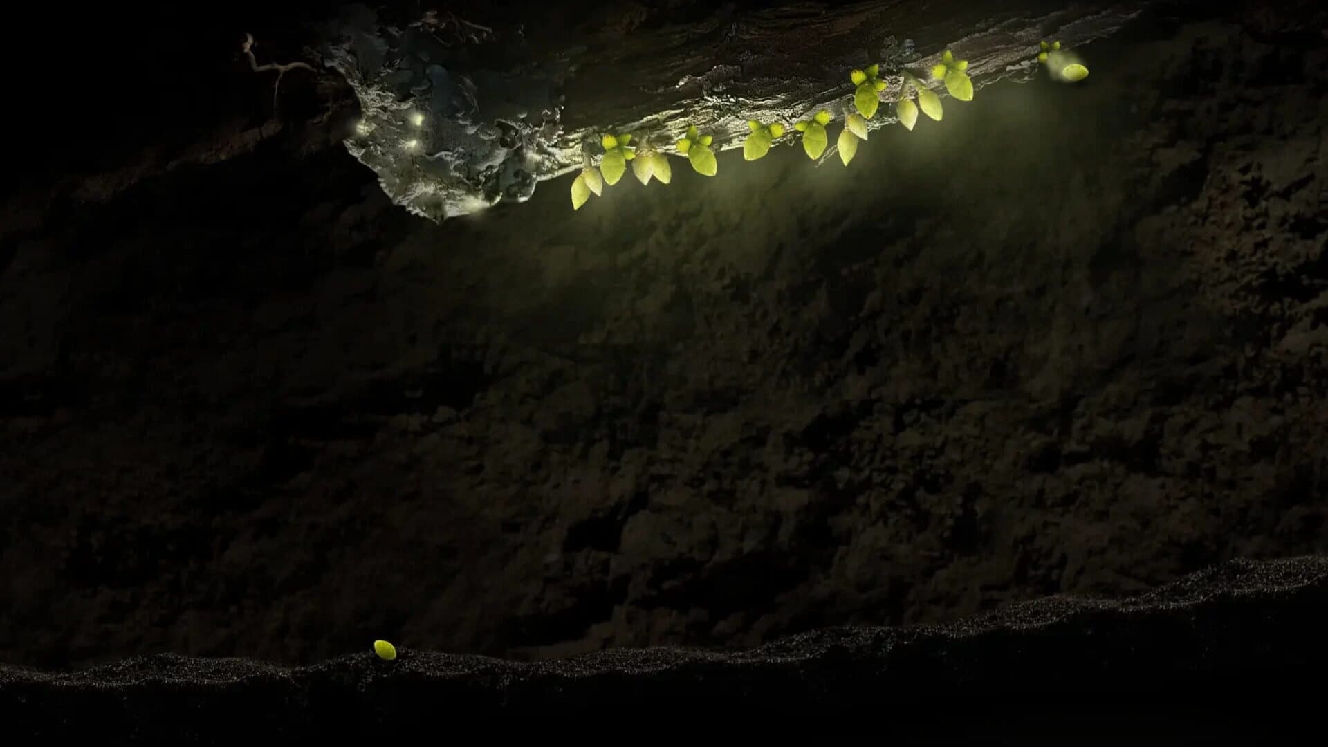Seedlings screenshot 4
