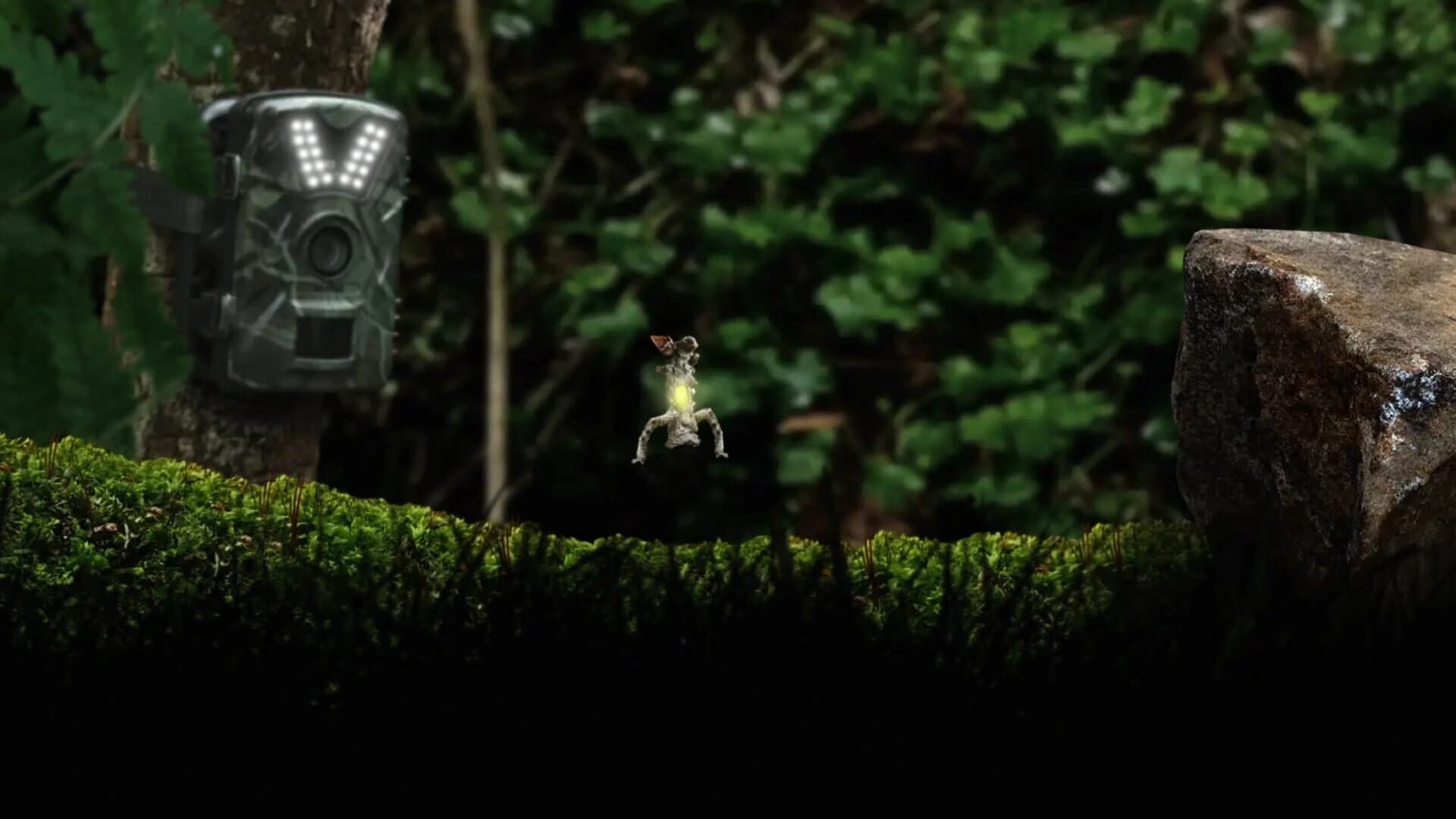 Seedlings screenshot 2