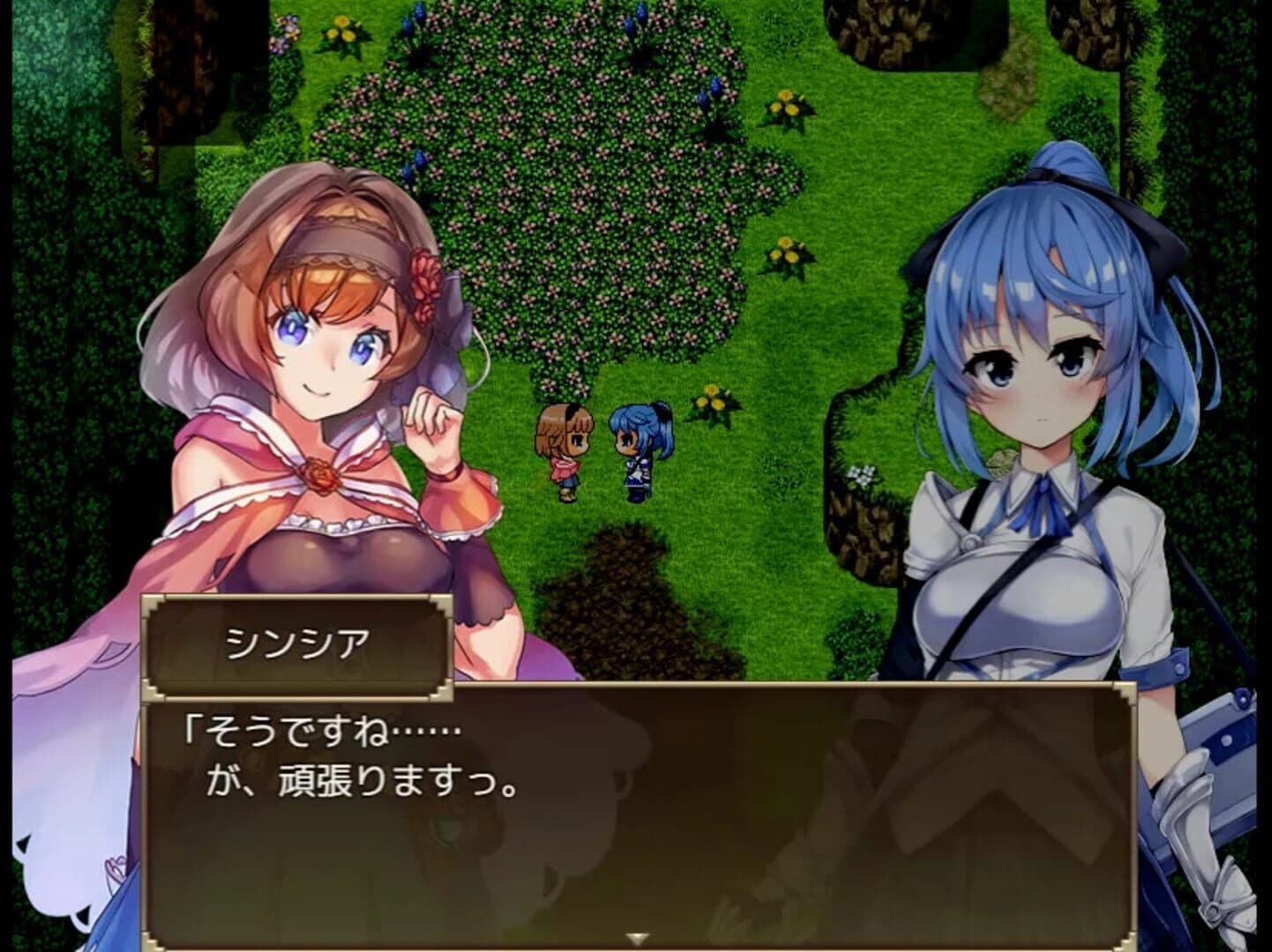 Selobus Fantasy screenshot 2