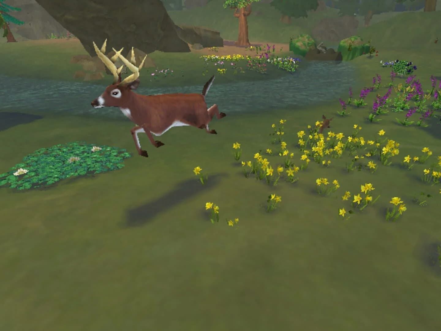 SimAnimals screenshot 1