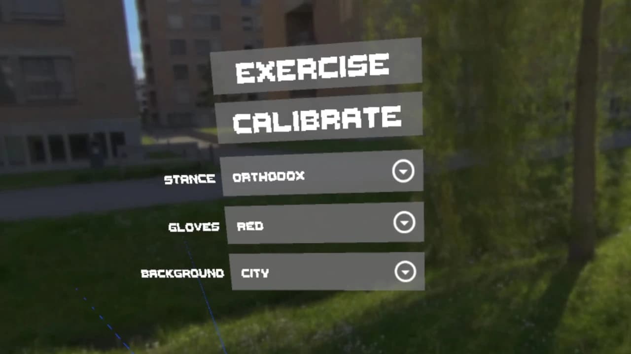Simple Boxing Drills VR screenshot 3