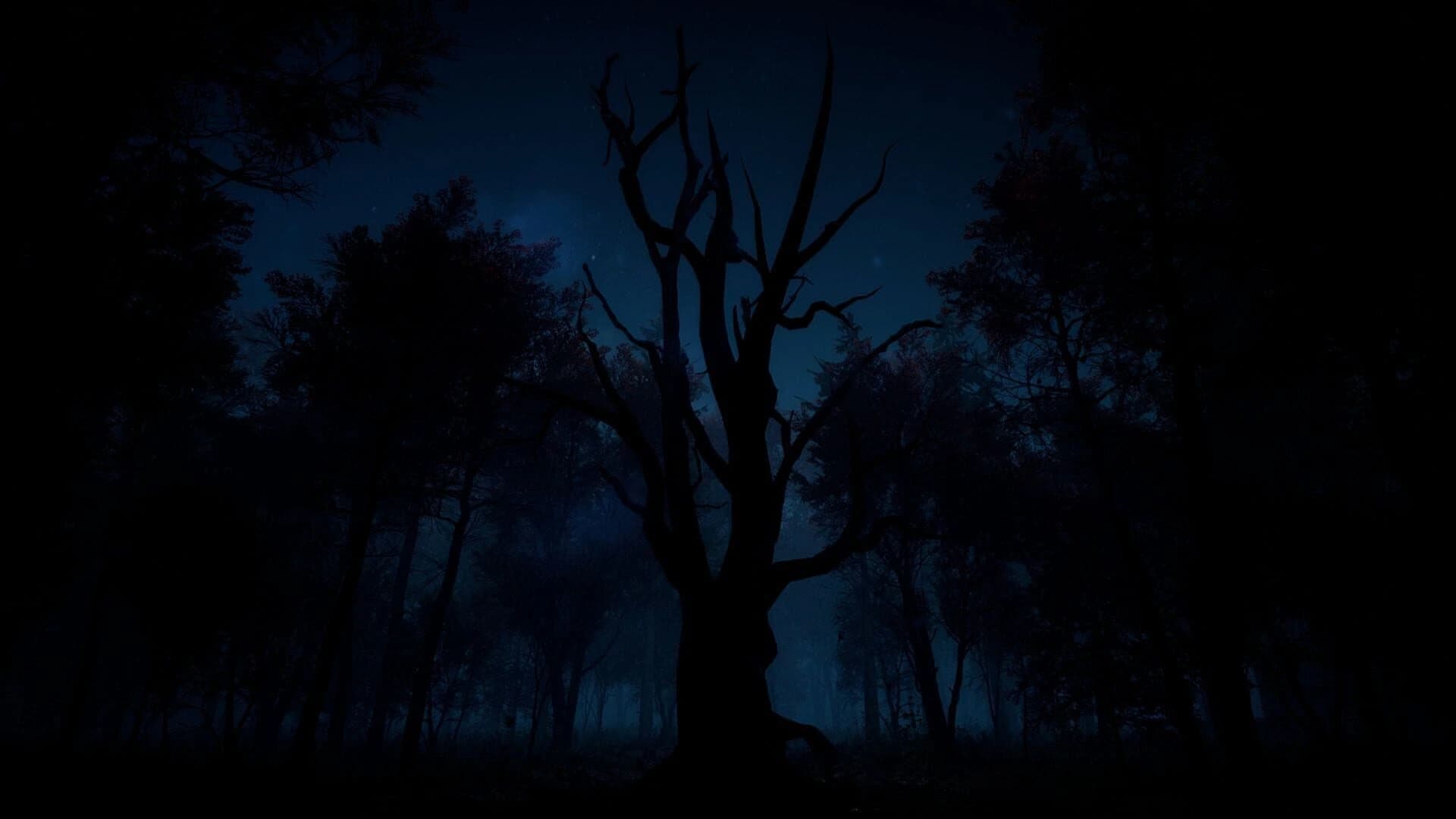 Slender: The Arrival screenshot 3