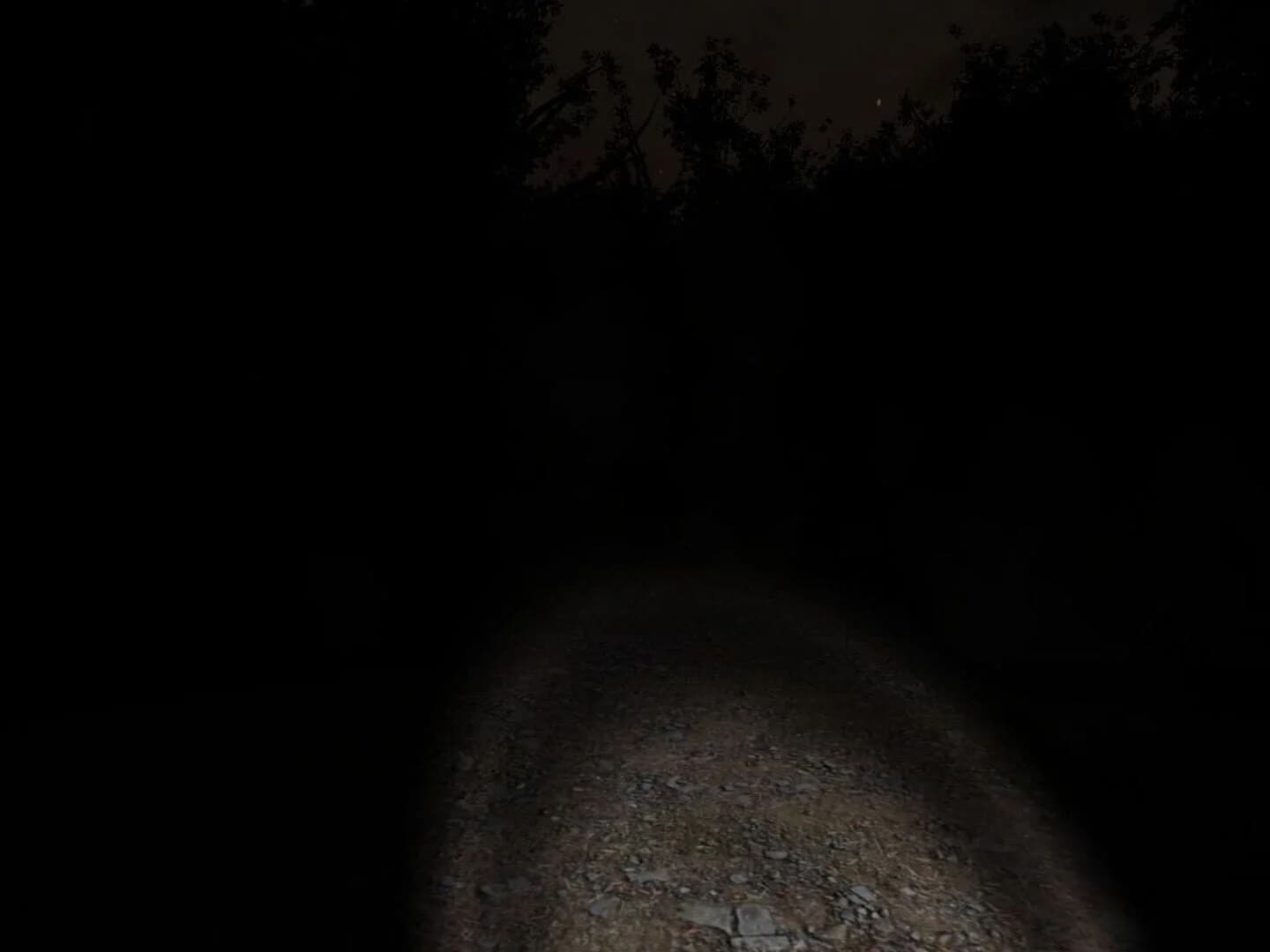 Slender: The Eight Pages screenshot 5